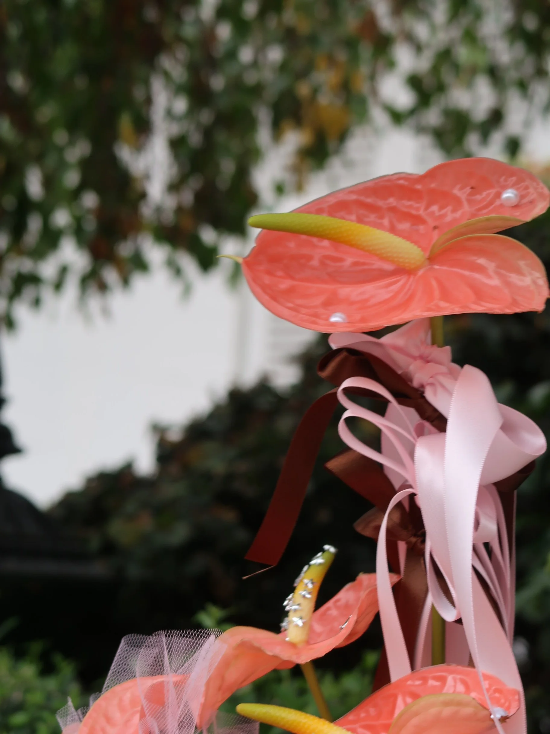 Photo 13-4-2026, 11 48 22 am.JPG