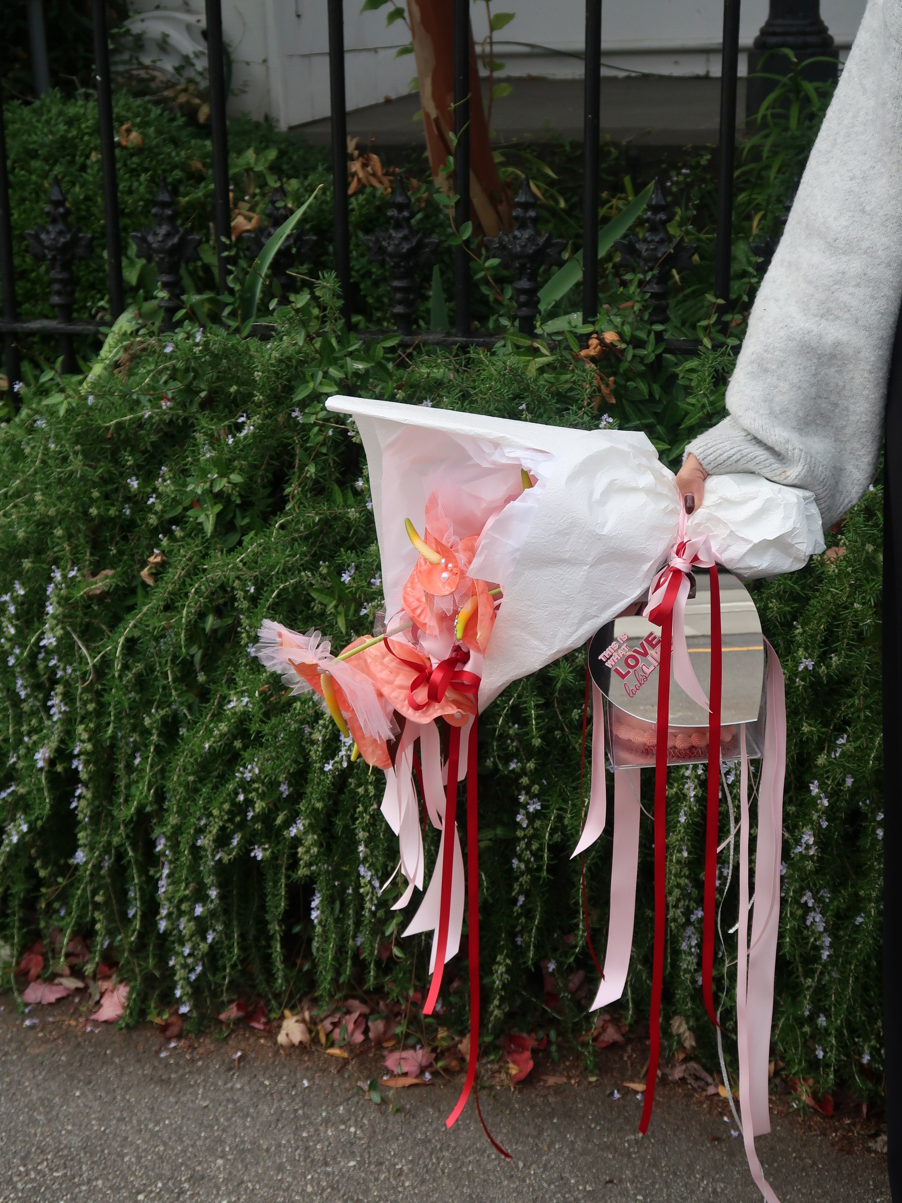 Photo 13-4-2026, 11 36 56 am.JPG