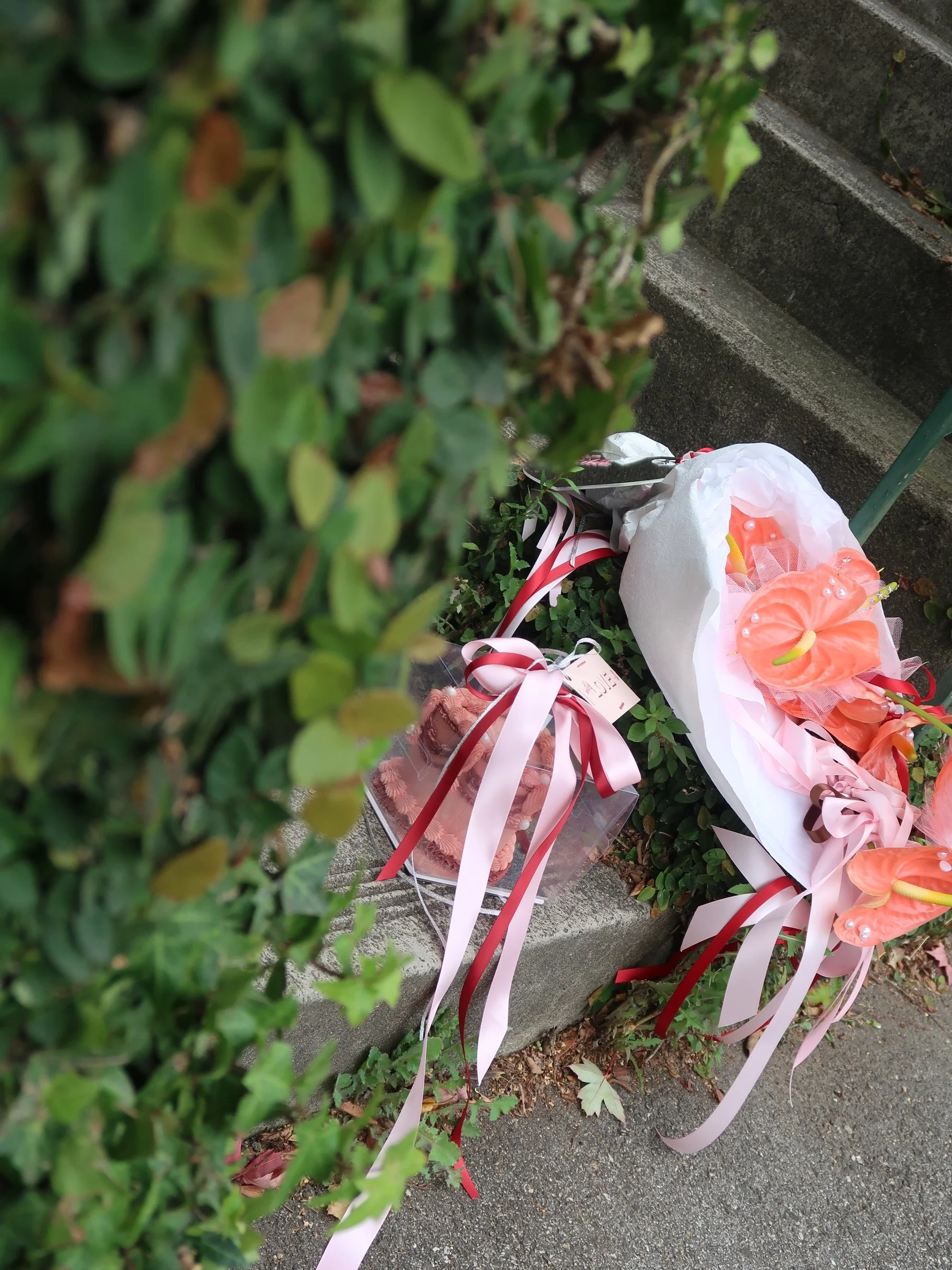 Photo 13-4-2026, 11 43 20 am.JPG