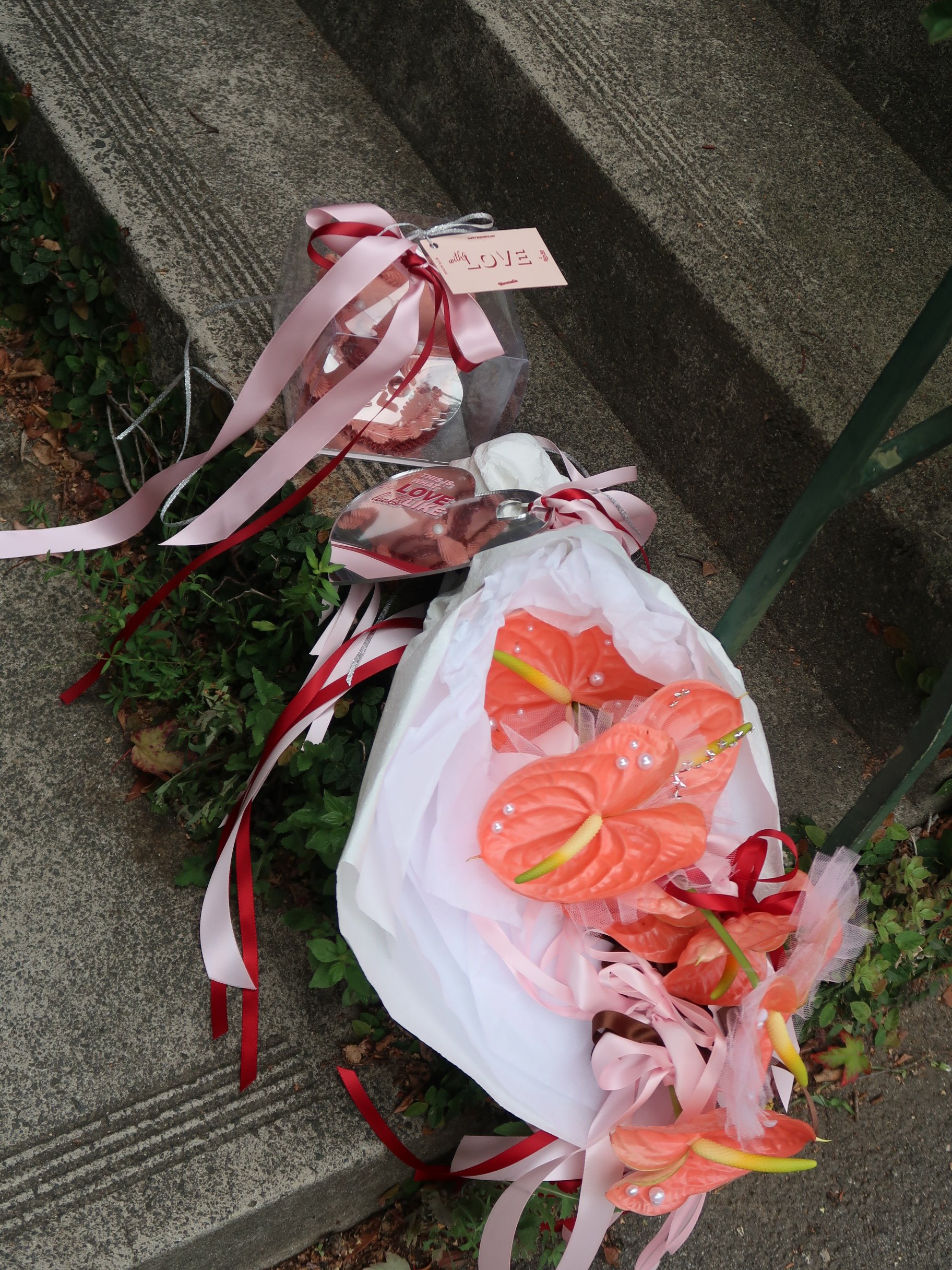 Photo 13-4-2026, 11 42 01 am.JPG