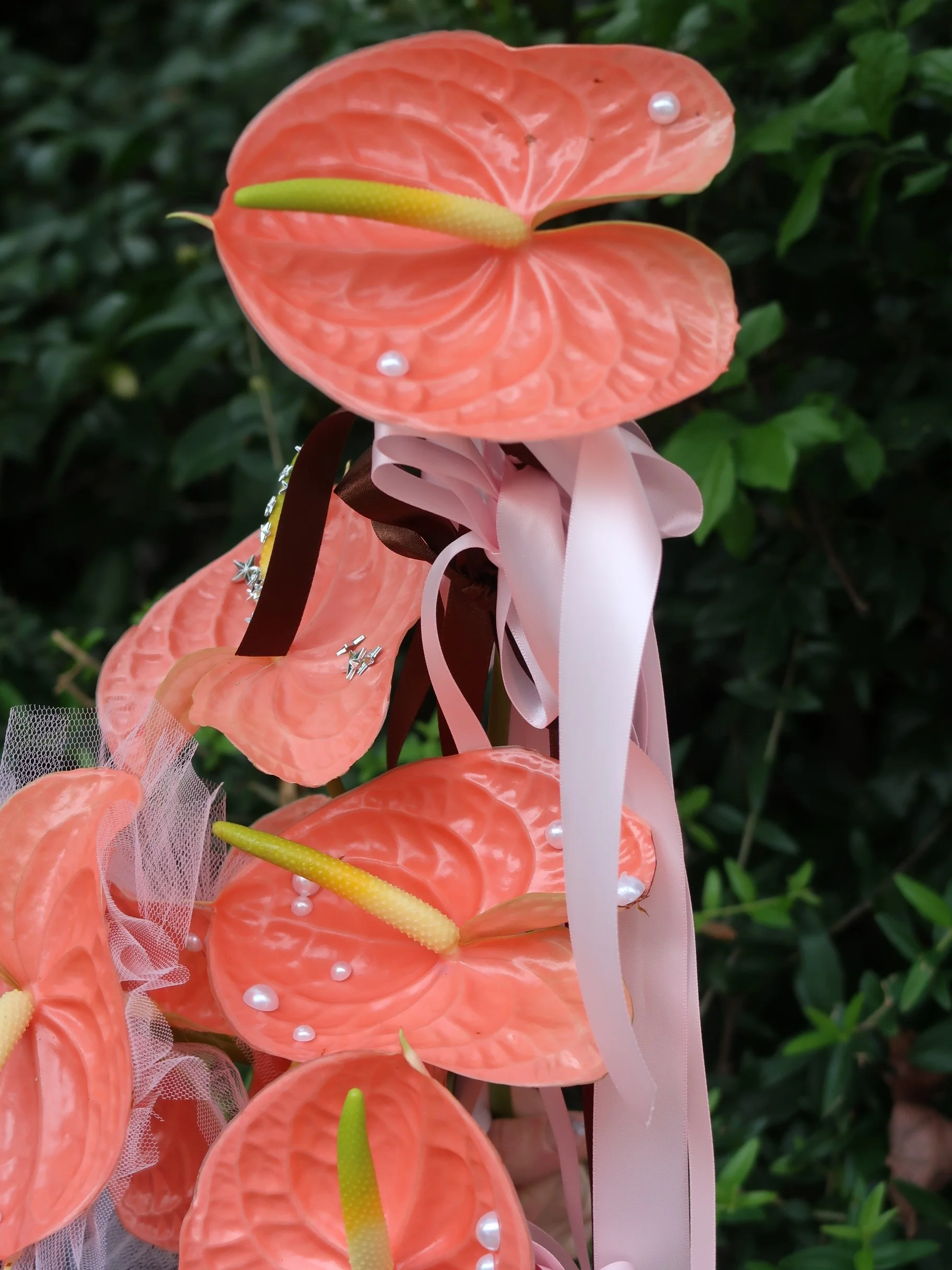 Photo 13-4-2026, 11 48 26 am (1).JPG