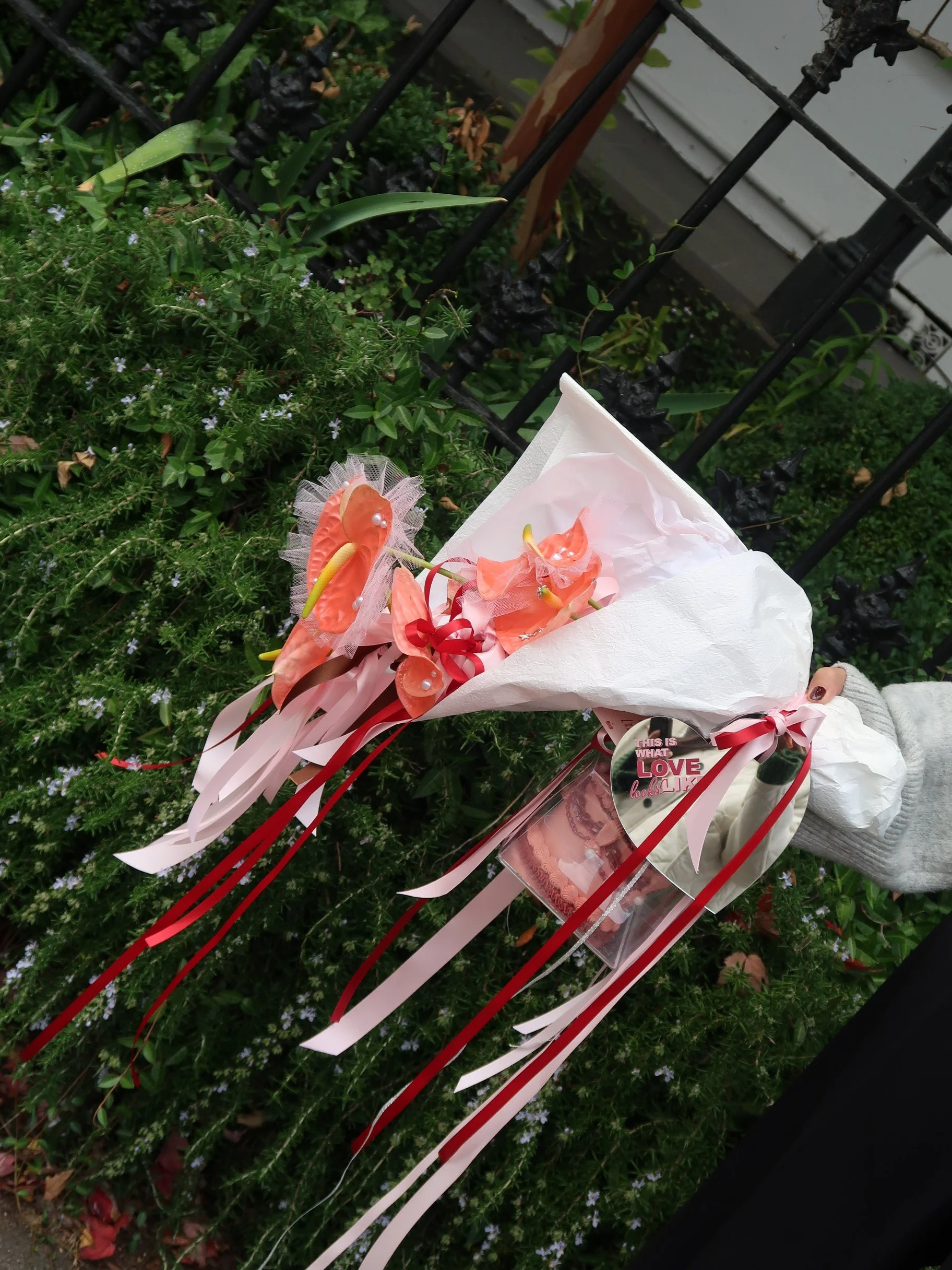 Photo 13-4-2026, 11 36 08 am.JPG