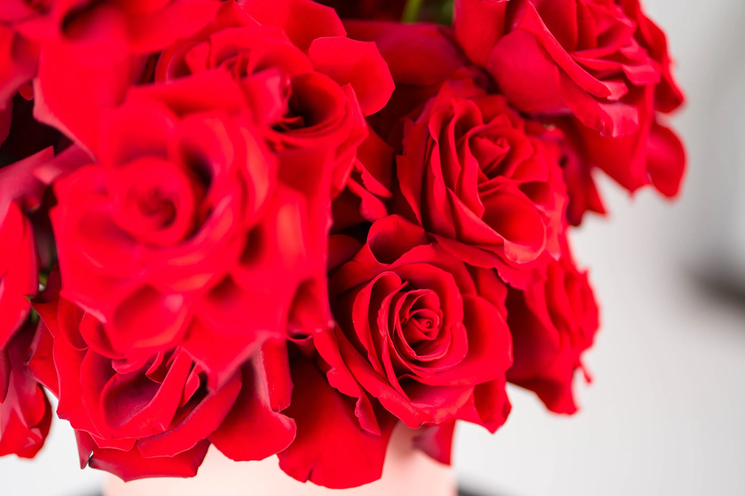 Valentine’s Rose Box—details