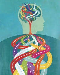 Small Steps Create Big Shifts