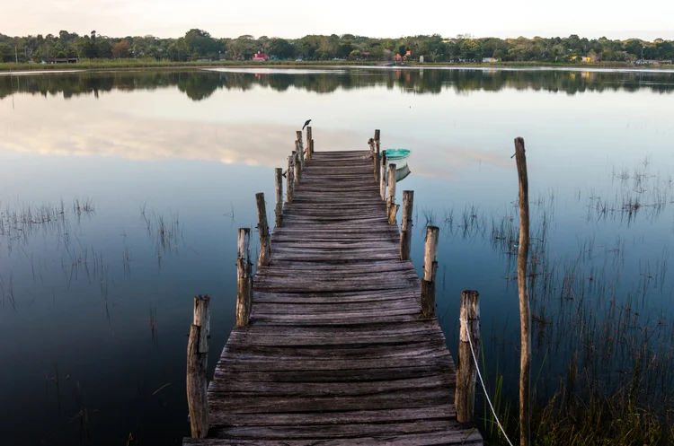 Outdated wooden pier on a quiet lakefront shoreline showing signs of aging and wear.