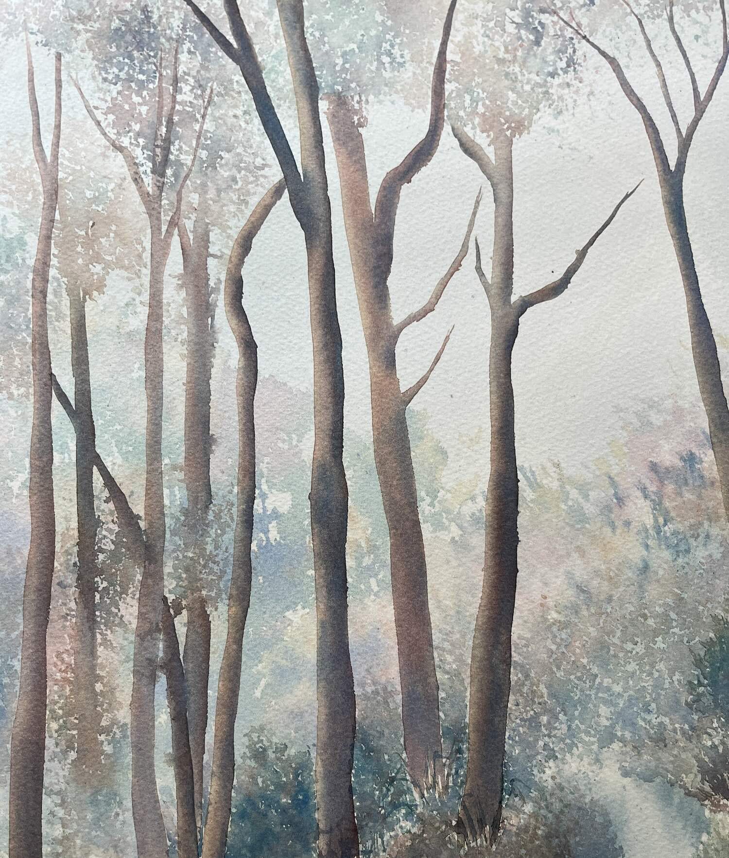 A Subtle Wonder - Alice Nguyen - Australian Landscape.jpeg