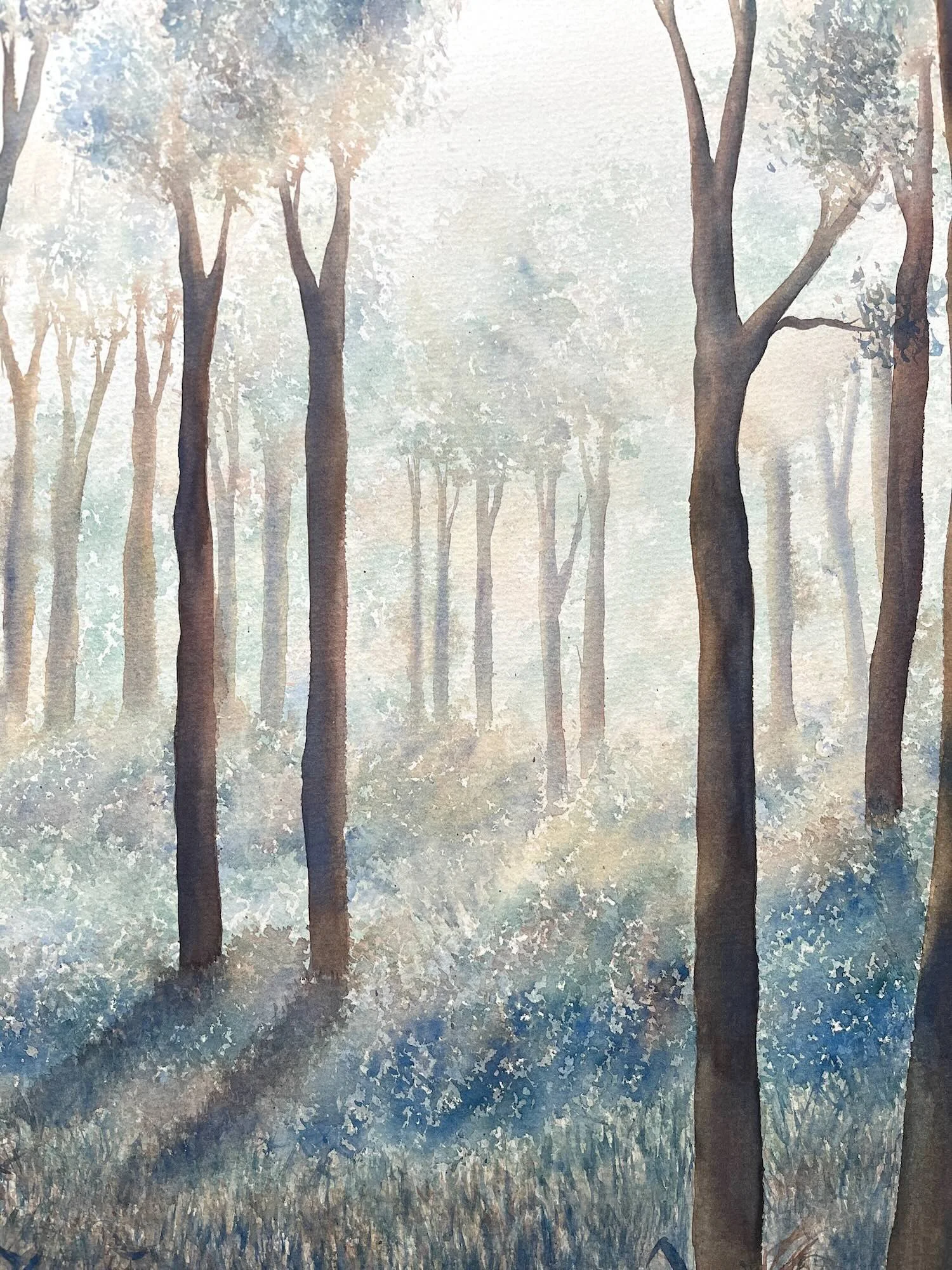 A Morning of Possibility - Alice Nguyen - Australian Landscapes.jpeg