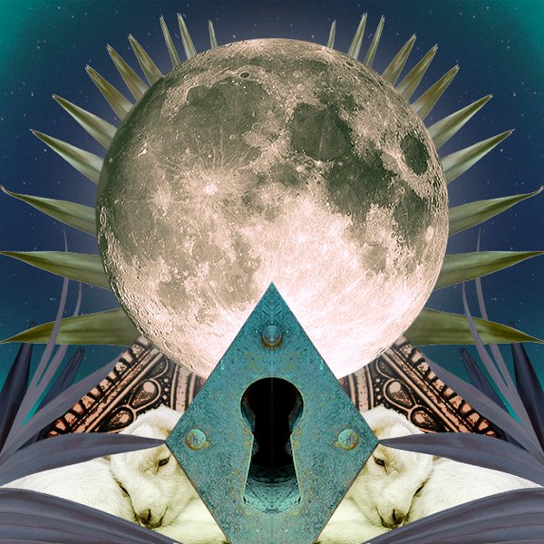 Capricorn Full Moon Collage for Chani Nicholas