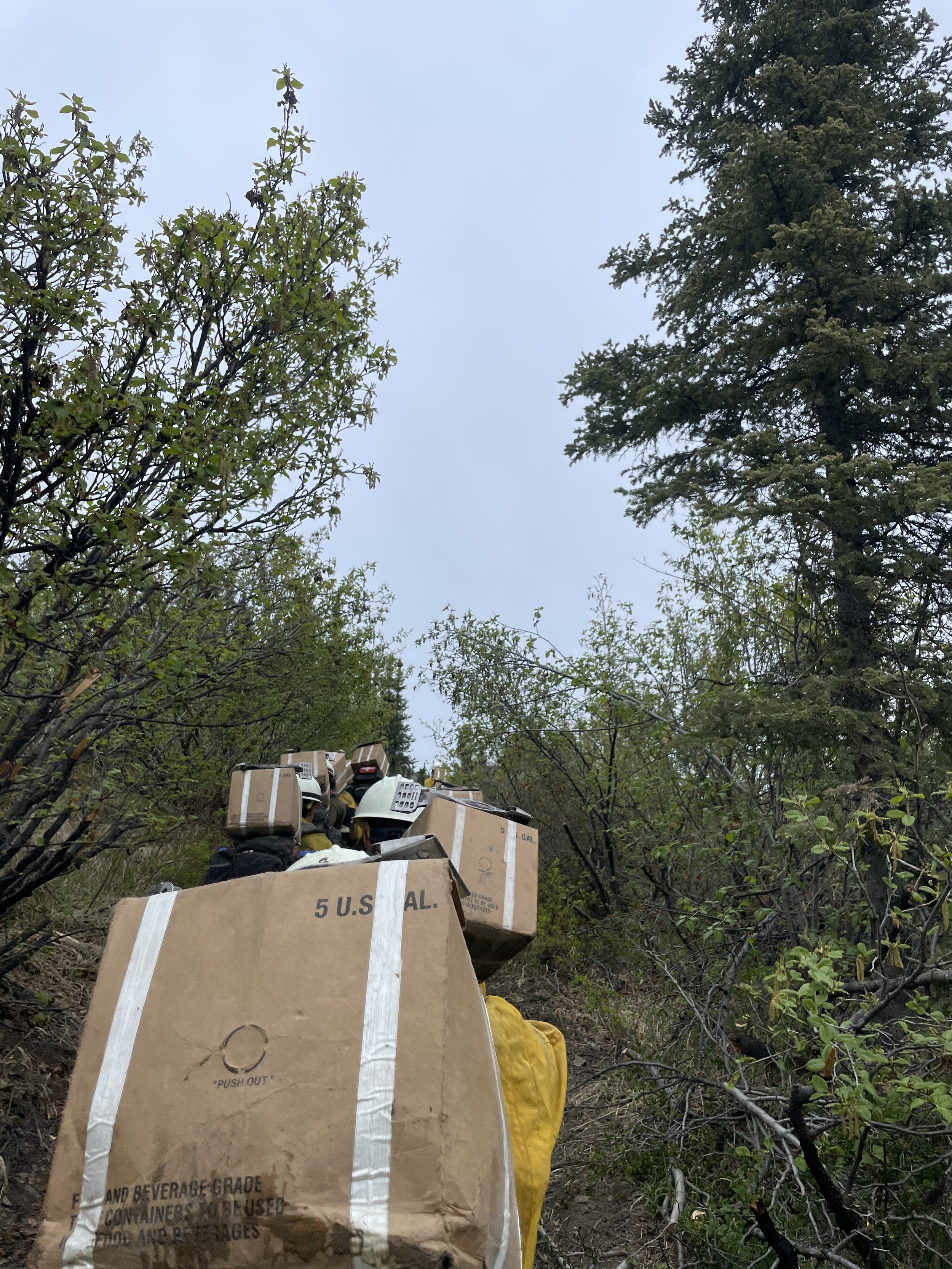 A pathway through a wooded area with several boxes stacked along the trail, some labeled as containing beverages and with a note to be used for shipping.