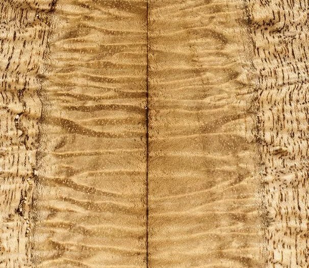 Curly Cottonwood