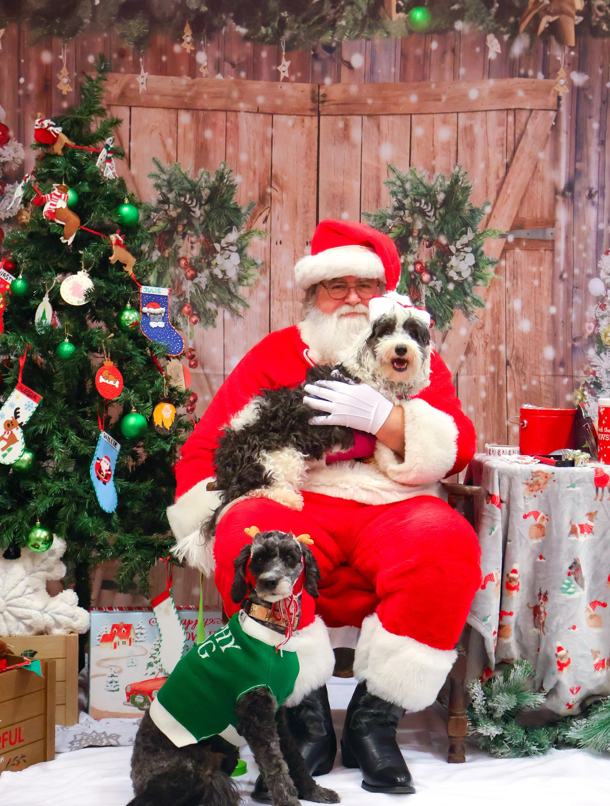 Bodhi, Ruthie and Santa 2024