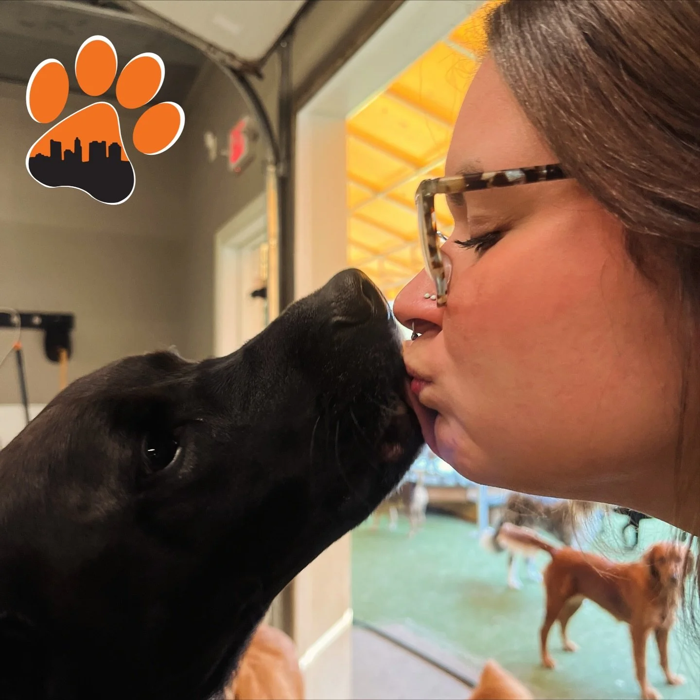 😍 15 Pup photos from the last few days at Puptown that will 100% make you smile! 😊 

It&rsquo;s been a bit somber the last few days and I don&rsquo;t know about you guys but I for one could use some extra dopamine. Thank goodness I know just the cu