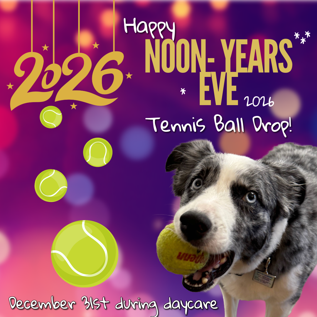 “Noon” Year’s Eve Tennis Ball Drop