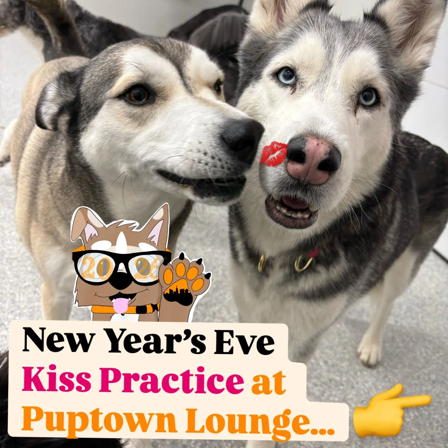 New Year&rsquo;s Kiss Practice at Puptown Lounge&hellip;

When Puptown dogs practice their New Year&rsquo;s kiss
and it goes from &ldquo;aww&rdquo; to &ldquo;sir pls&rdquo; real quick 😅😭💋

✨ Enthusiasm: 10/10 ⭐️
✨ Technique: questionable 🤨 
✨ Con