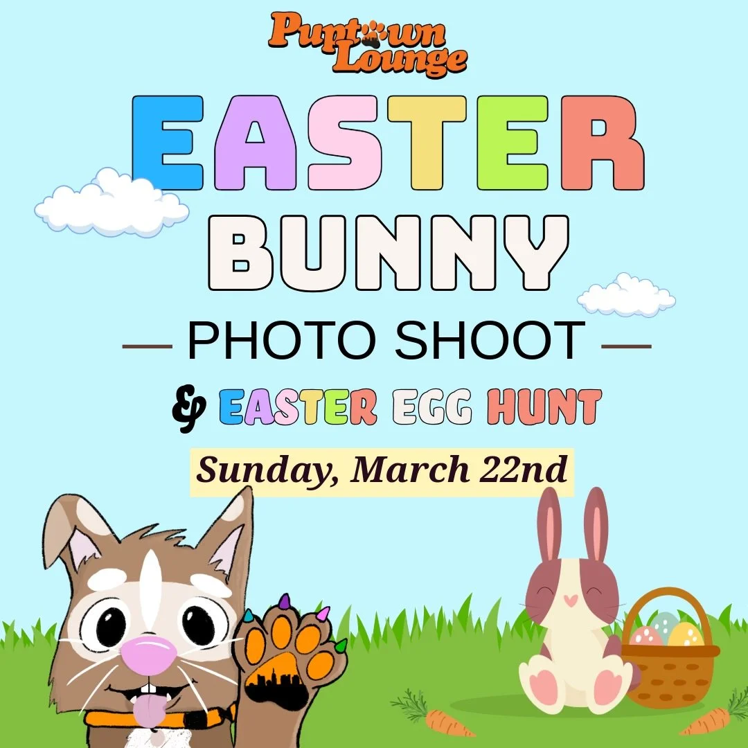 🐰🌷 HOP on over to Puptown Lounge Hilliard! 🌷🐰

Save the Date!
Join us Sunday, March 22nd | 11AM&ndash;2PM for our Easter Bunny Photoshoot &amp; Egg Hunt! 🧡🐾

✨ $20 per family

📸 Professional photo with the Easter Bunny by Julie from @capture.t