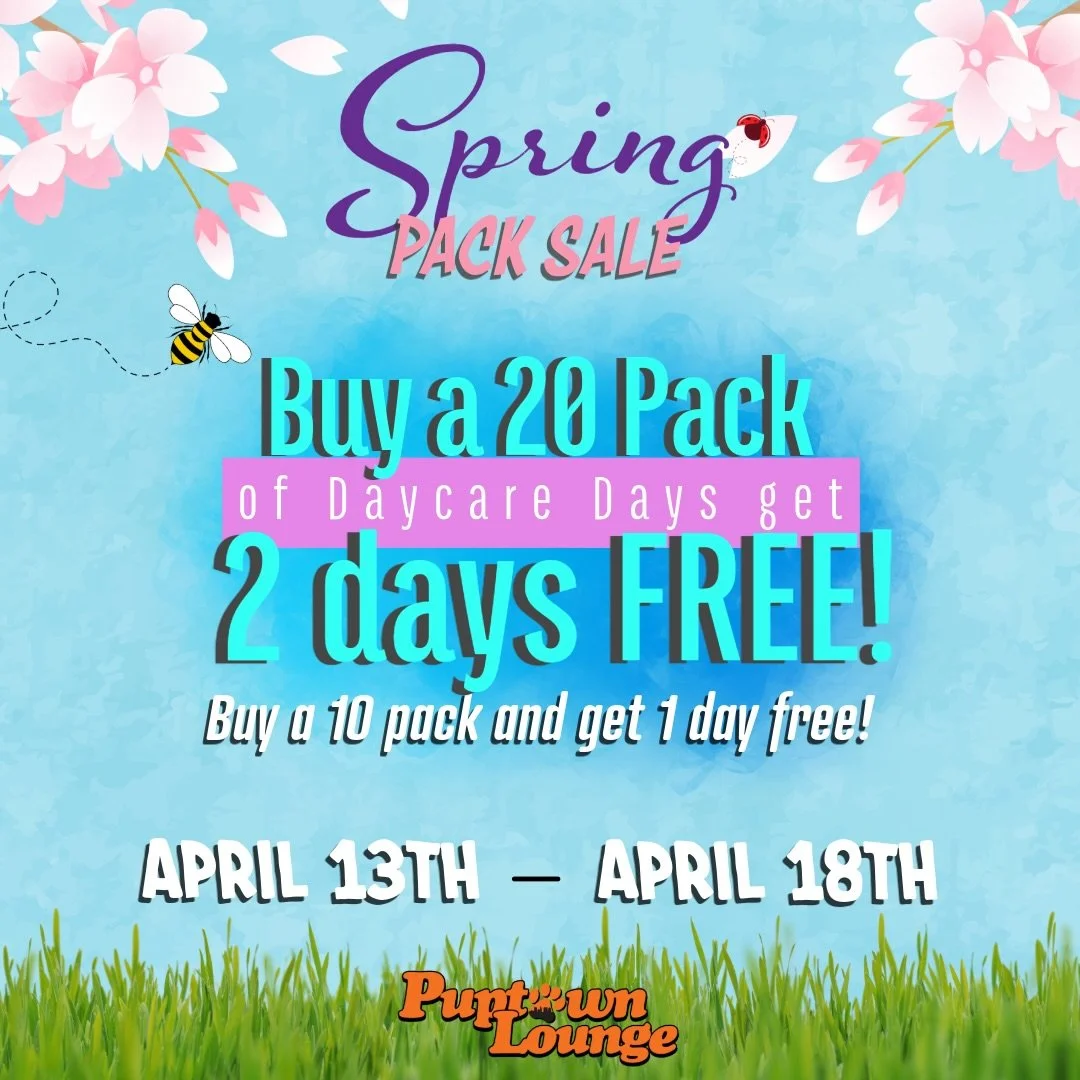 Save the date 🐾

Our Spring Daycare Package Sale is coming up April 13&ndash;18!

Buy 10 days, get 1 FREE
Buy 20 days, get 2 FREE

It&rsquo;s the perfect time to stock up on your pup&rsquo;s favorite days (and save while you&rsquo;re at it). You won