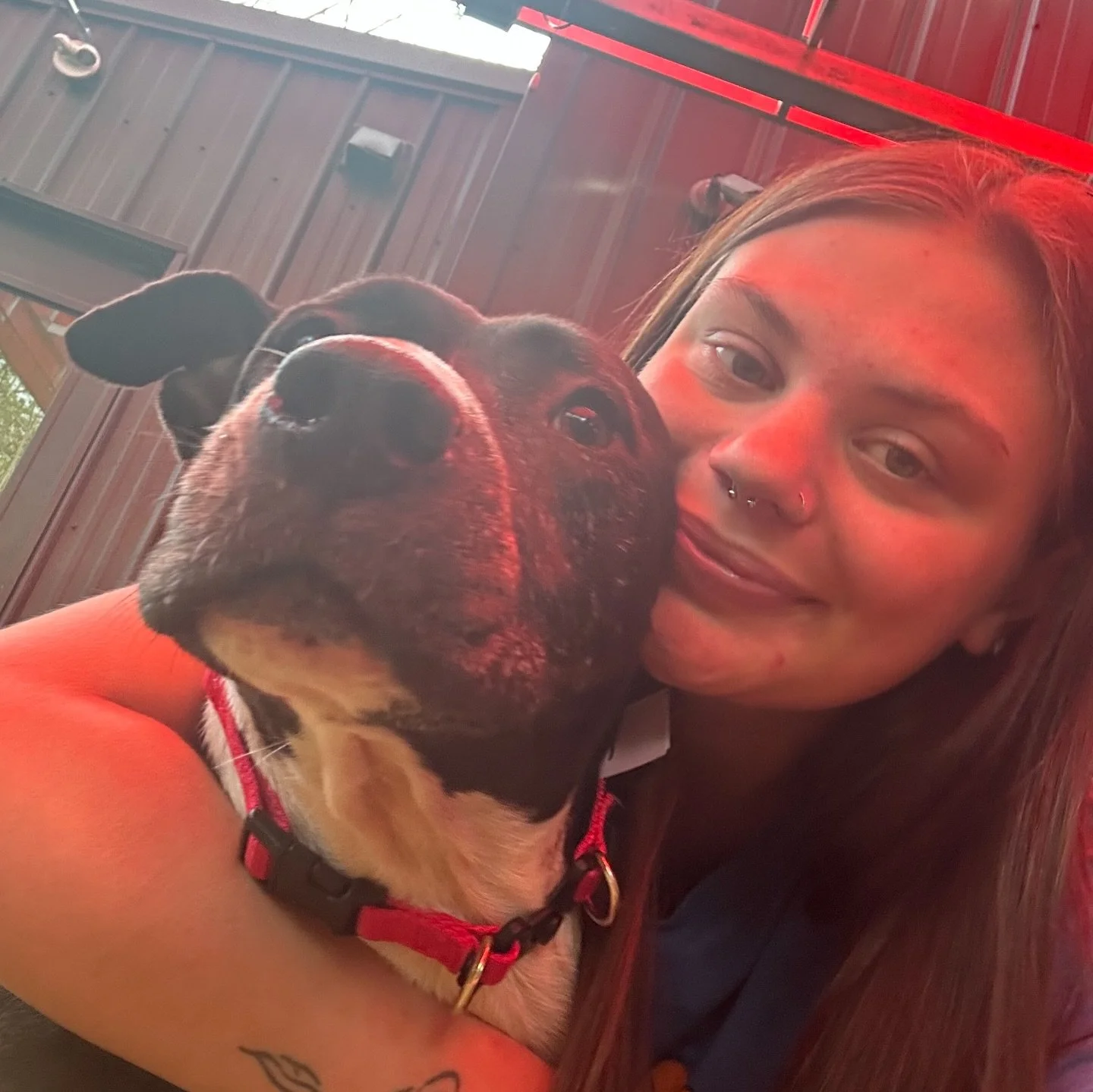 ✨ Alyssa&rsquo;s Top Puptown Lounge Hilliard moments from 04/13 - 04/17‼️

We asked Alyssa, daycare attendant, to pick 10 of their favorite moments around our Hilliard location during those days! 

Here are their picks! 🥰

1. May and I, just because