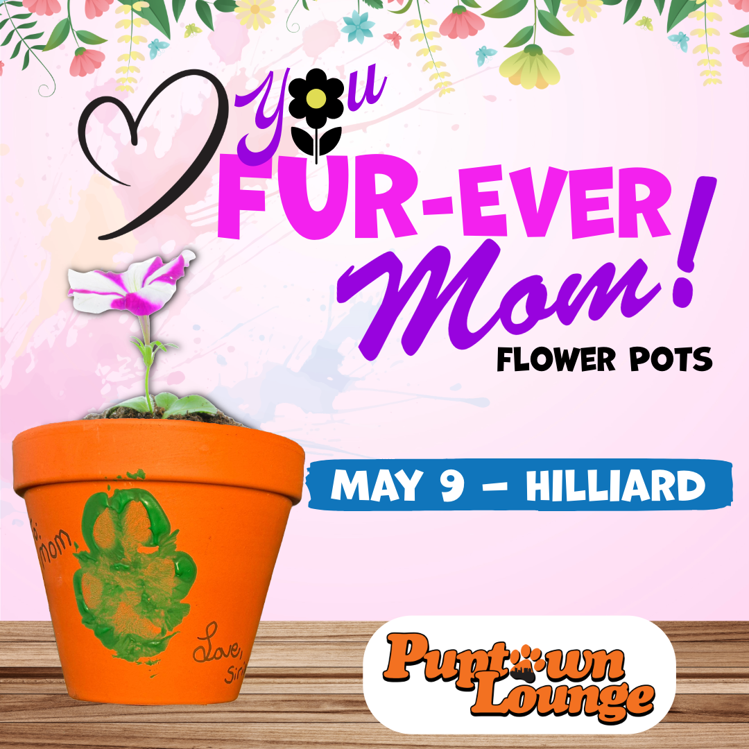 Dog Mom's Day "Love you FURever" Flower Pot Craft Day - Hilliard