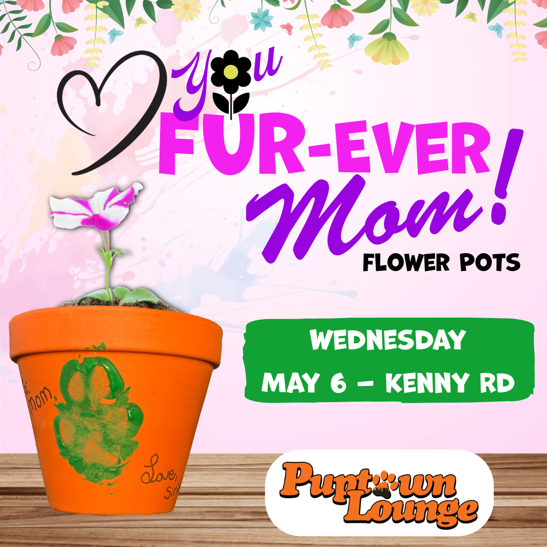 Dog Mom's Day "Love you FURever" Flower Pot Craft Day - Kenny Rd