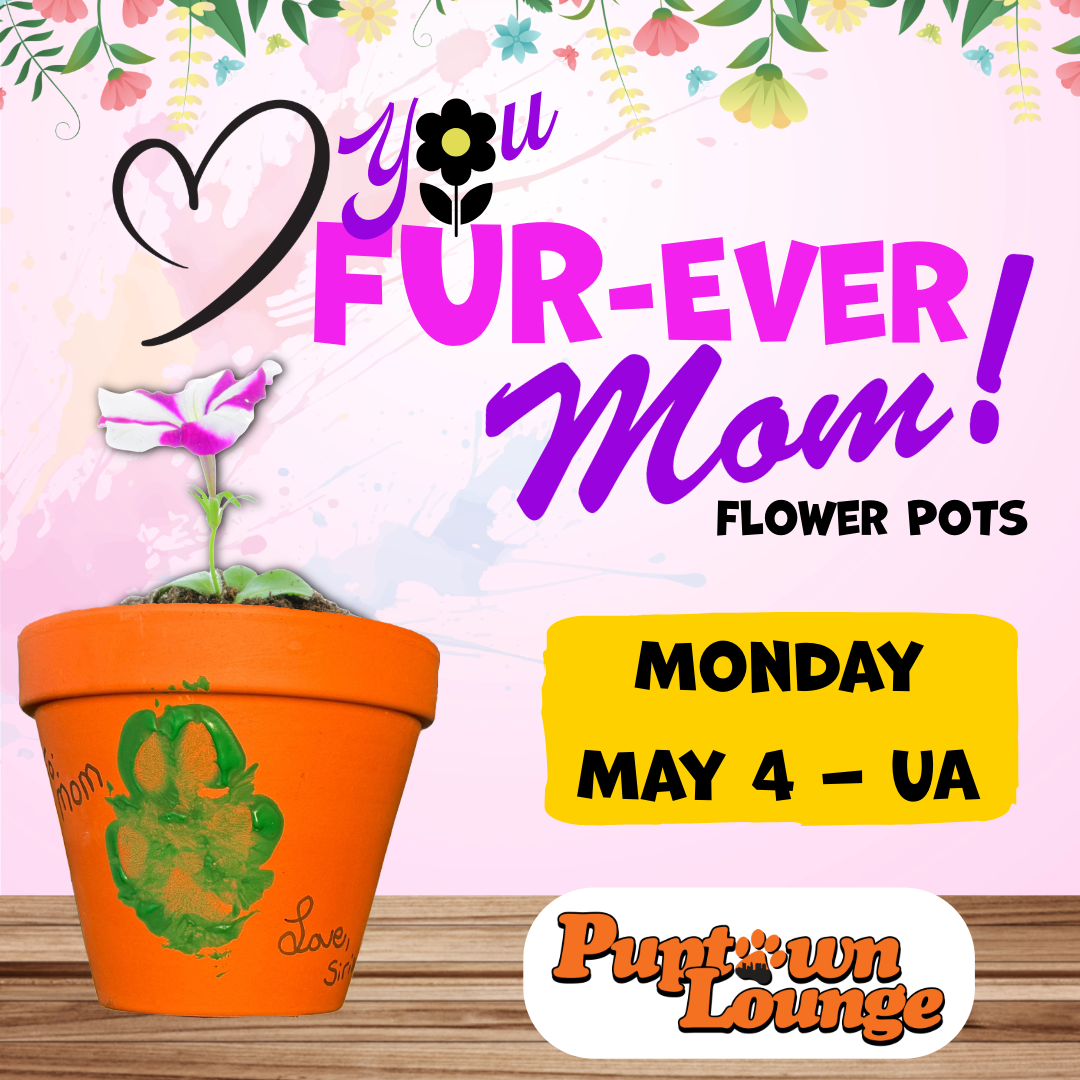 Dog Mom's Day "Love you FURever" Flower Pot Craft Day - Upper Arlington