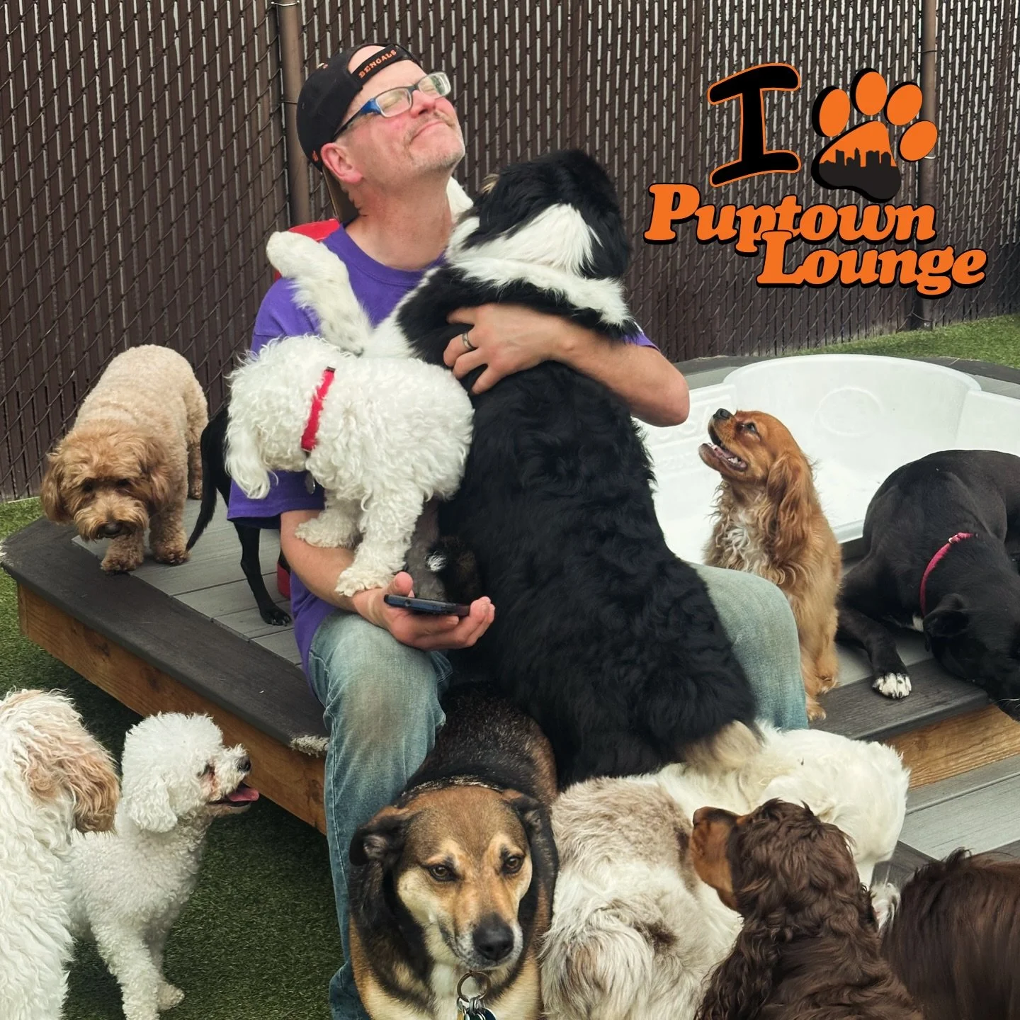 Golden sun, wagging tails, and the happiest pups around ☀️🐾

Today at Puptown Lounge was one of those perfect days&mdash;extra outdoor playtime, refreshing pool and splash pad time, bubbles floating through the air, and plenty of cuddle breaks with 
