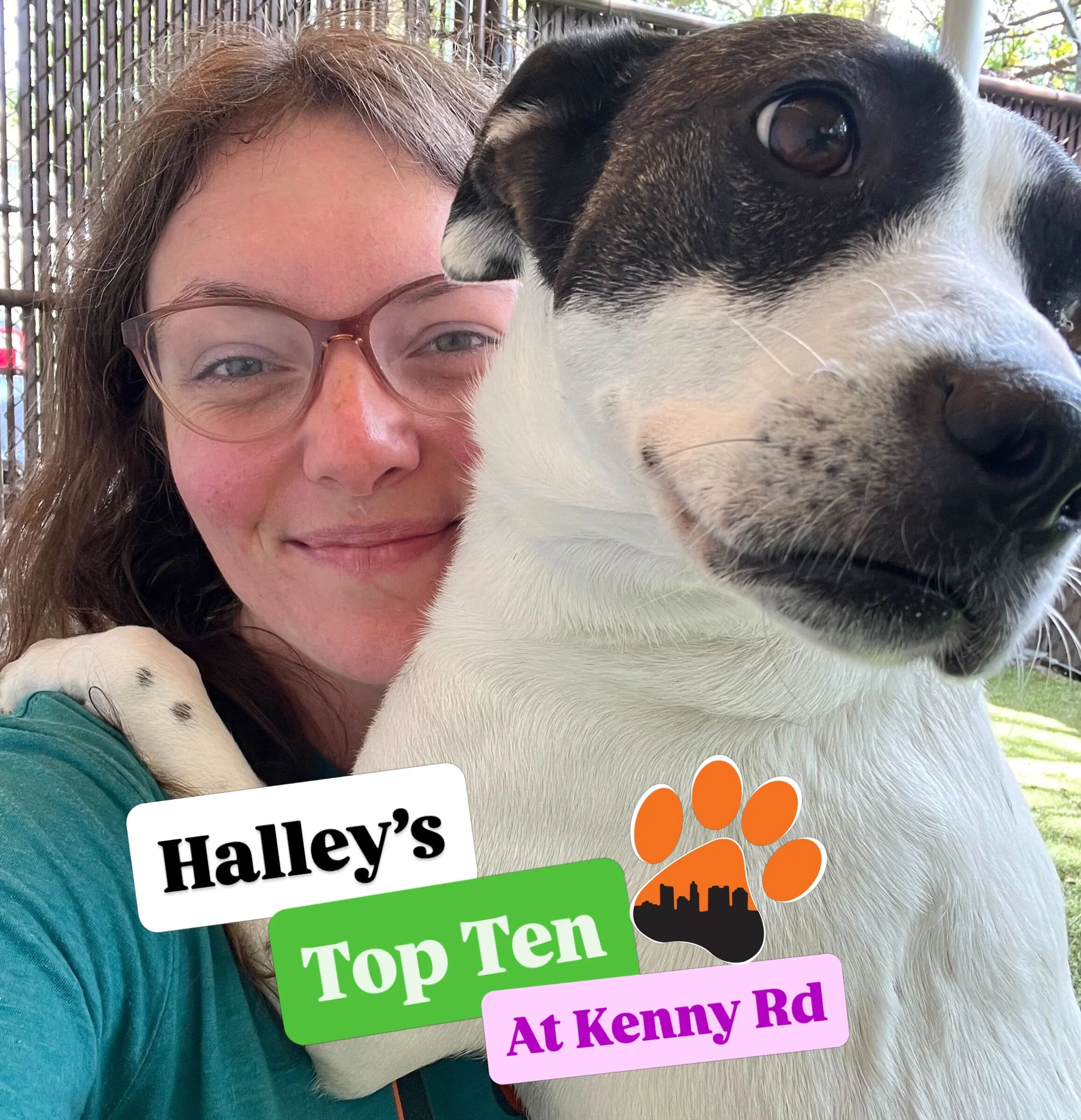 ✨ Halley&rsquo;s Top Puptown Lounge Kenny Rd moments from 04/27 - 05/01‼️

We asked Halley, daycare attendant, to pick 10 of their favorite moments around our North Columbus location on Kenny Rd during those days! 

Here are their picks! 🥰

1 - Hugs