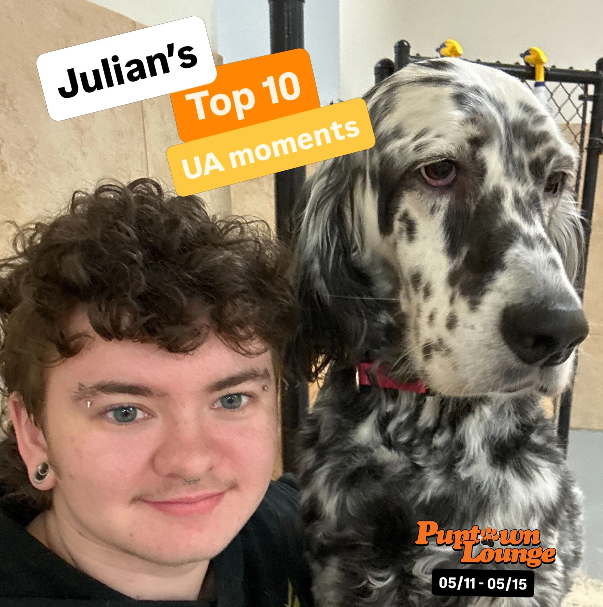 ✨ Julian&rsquo;s Top Puptown Lounge UA moments from 05/11 - 05/15‼️

We asked Julian, daycare attendant, to pick 10 of their favorite moments around our Upper Arlington location during those days! 

Here are their picks! 🐾

1- Hanging out with Wanda