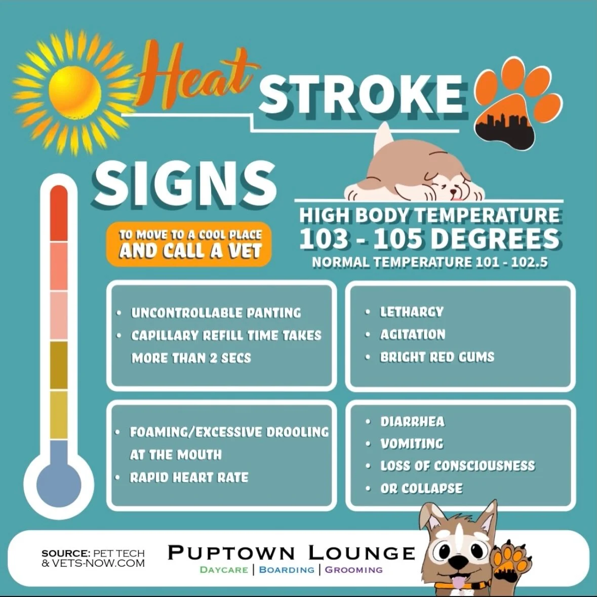🌡️ Did you know that when the air temperature is 95&deg;F, asphalt can reach 155&deg;F? 🥵 

Summer fun is better when it&rsquo;s safe. ☀️🐾

Swipe through to learn the signs of heat stroke, which dogs may be at greater risk, and simple ways to help