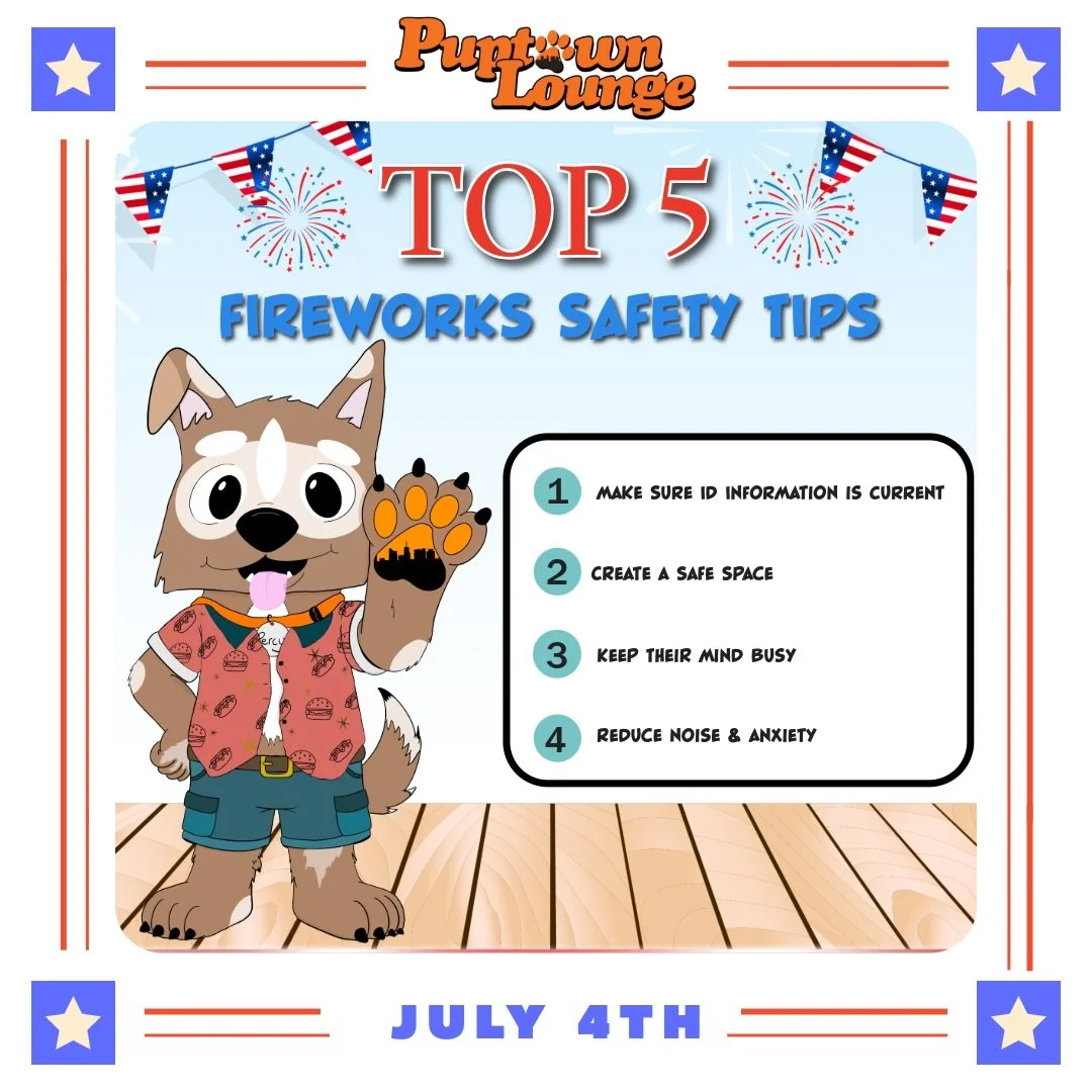 🇺🇸🎆 Fireworks may be exciting for us, but for many dogs they&rsquo;re one of the most stressful parts of the year.😬

As we head into the holiday weekend, here are a few ways to help your pup stay safe and comfortable:

🦮 Double-check collar tags