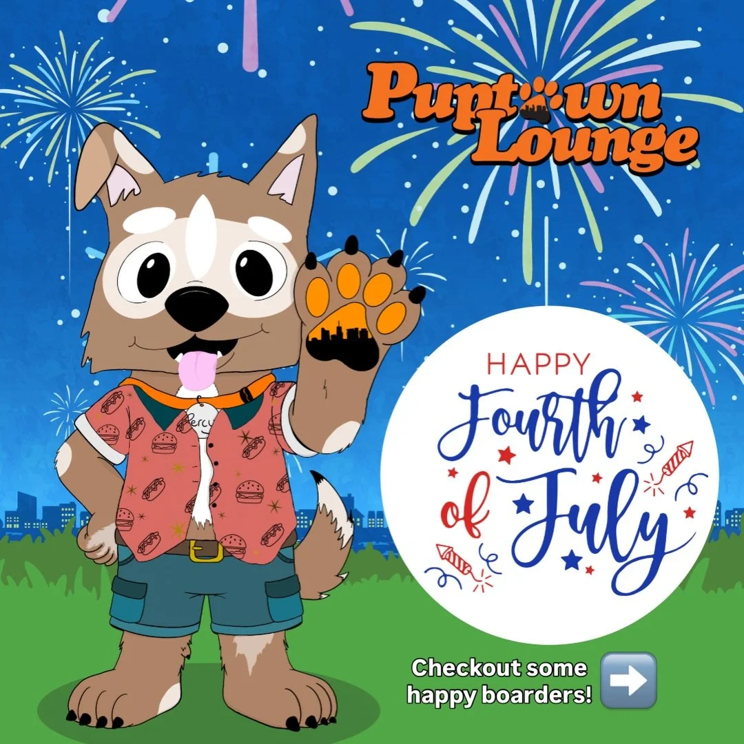 🇺🇸 Happy Fourth of July! 🇺🇸

Today we celebrate Independence Day and America&rsquo;s 250th birthday! 🎆

While many families are enjoying cookouts, parades, and fireworks, our boarding guests are spending the holiday surrounded by familiar faces,