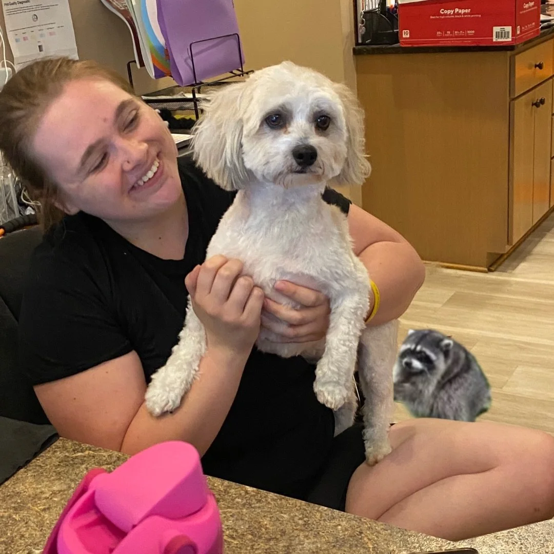 🚨 We had a very unexpected visitor today at all three Puptown Lounge locations... 🦝😂

We can&rsquo;t confirm or deny the sightings&hellip; 👀

Swipe through and see if you can spot Jimothy hanging out with our daycare pups at Kenny Road, Hilliard,