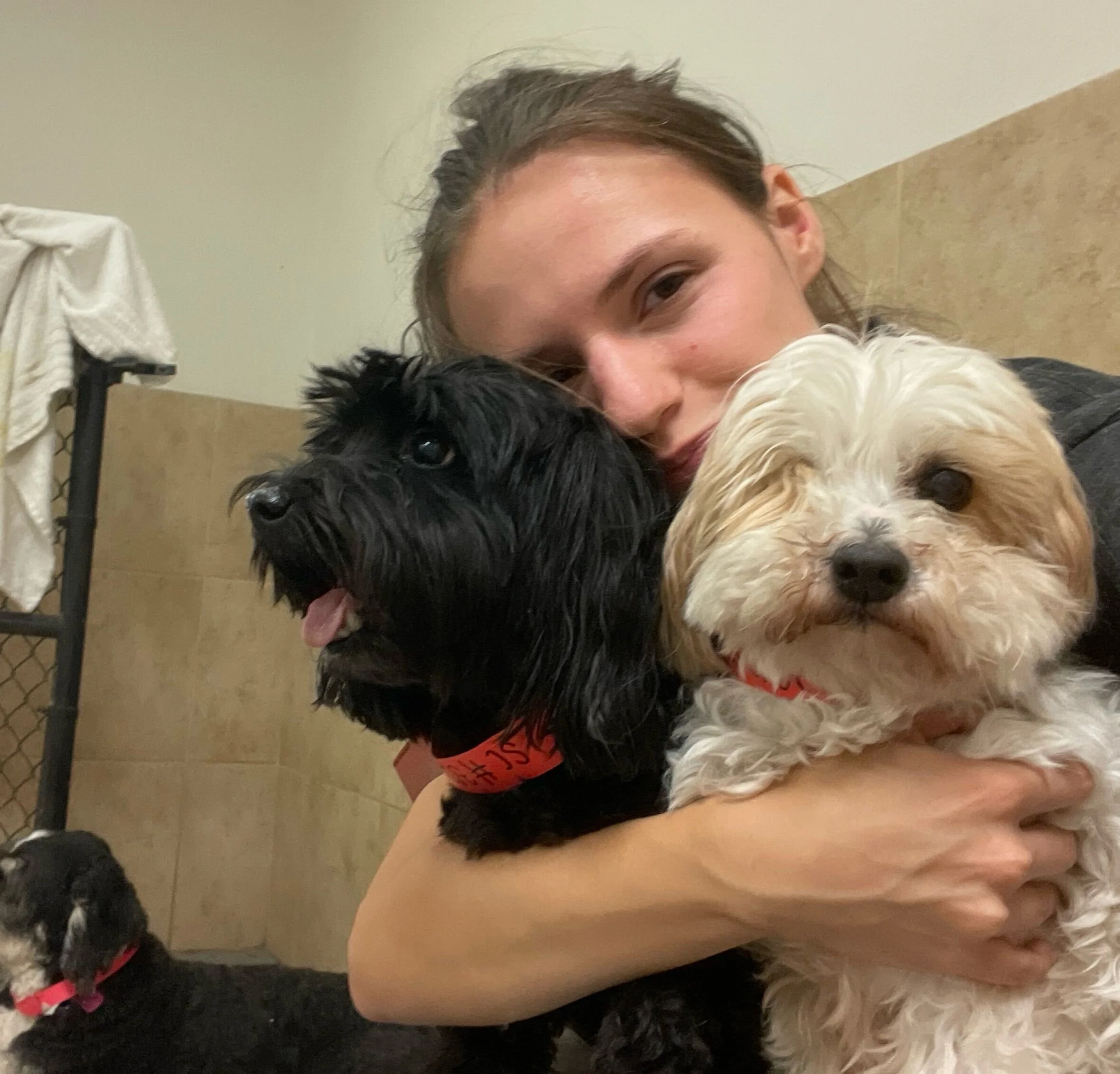 ✨ Melissa&rsquo;s Top Puptown Lounge UA moments from 07/27 - 07/31‼️

We asked Melissa, daycare attendant, to pick 10 of their favorite moments around our Upper Arlington location during those days! 

Here are their picks! 🐾

1. It&rsquo;s me with M