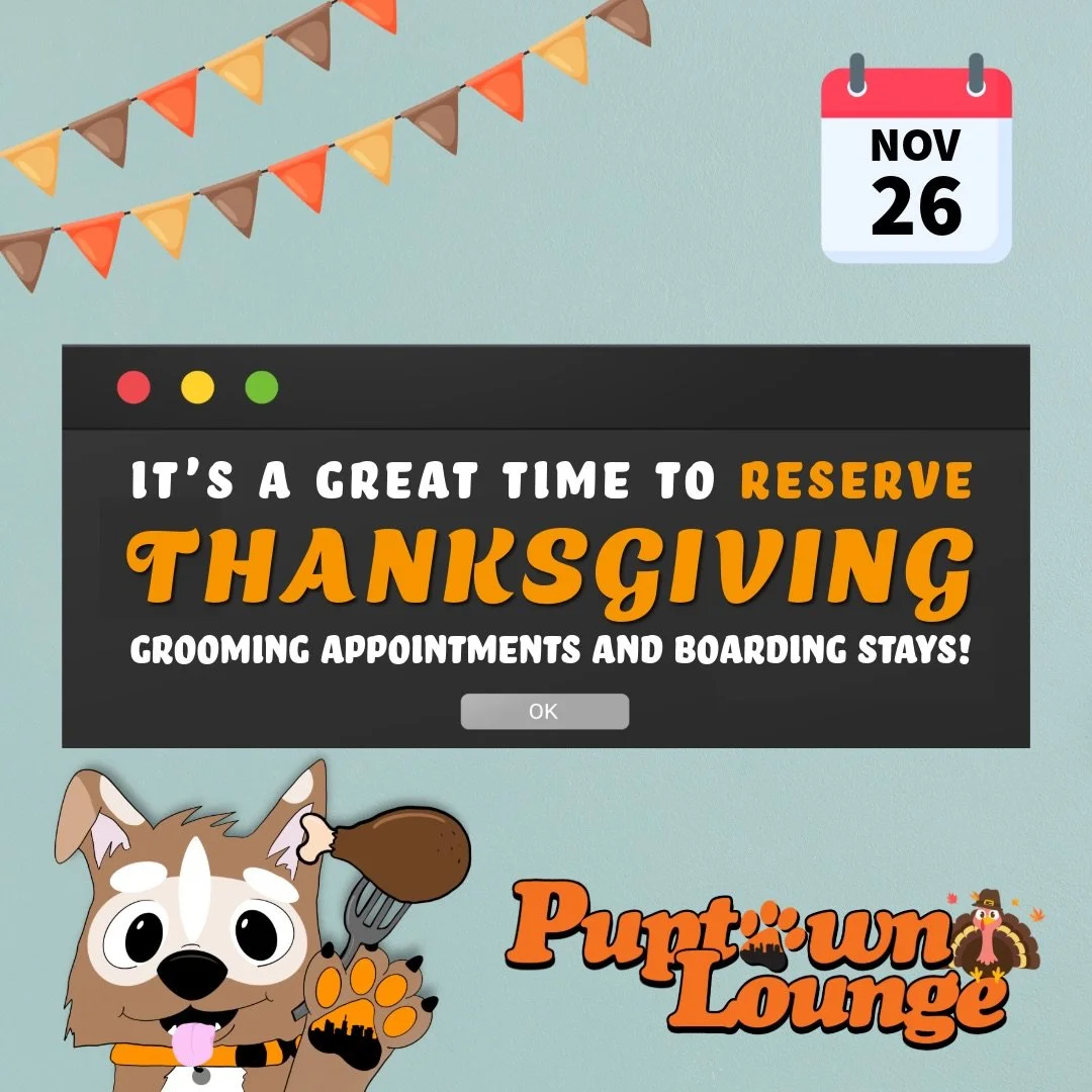 🦃🍂 Thanksgiving will be here before we know it!

And while these pups are busy being cute, silly, and having the BEST time at Puptown Lounge&hellip; we&rsquo;re reminding you to get your holiday plans on the calendar! 🐾🧡

📅 NOW is a great time t