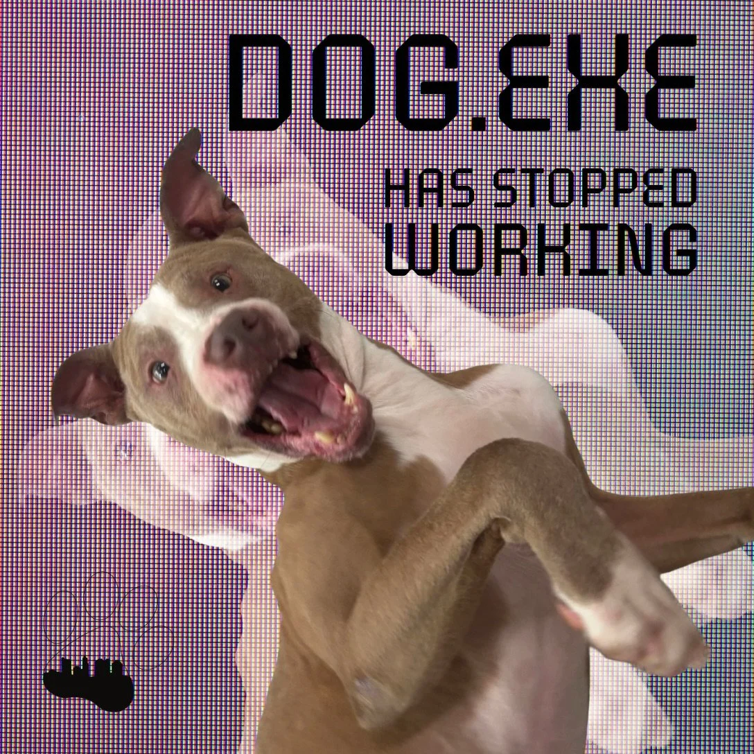 Apparently, dog.exe has stopped working here at Puptown Lounge this week. 🫠💻🐾

We&rsquo;re not sure what happened, but somewhere between playtime, cuddles, treats and making new friends&hellip; the pups just started malfunctioning. 🤪😂

Swipe thr