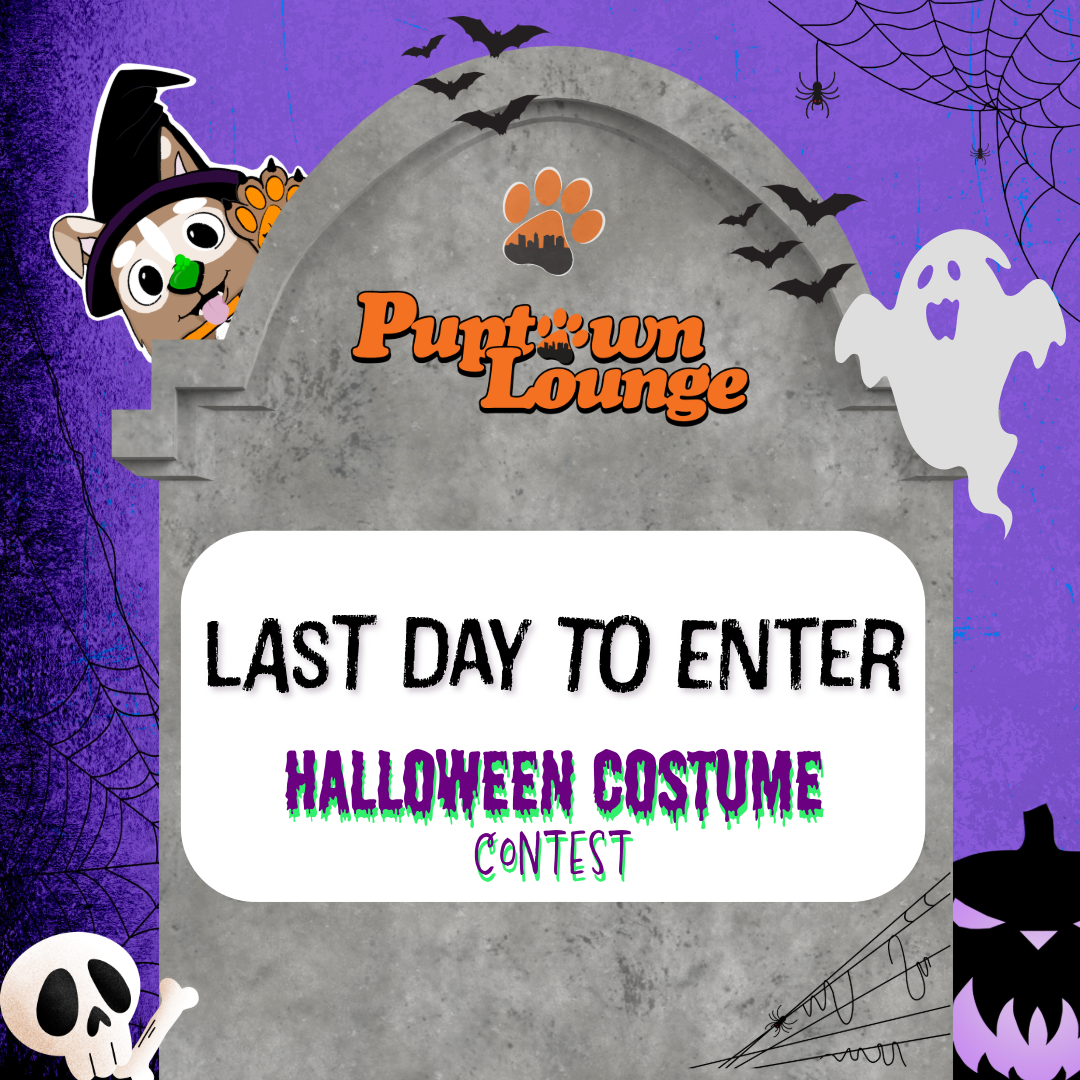 Last Day to Enter Costume Contest