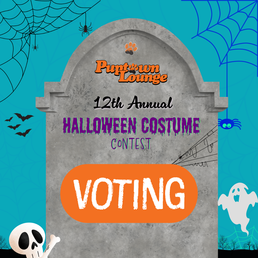 Voting