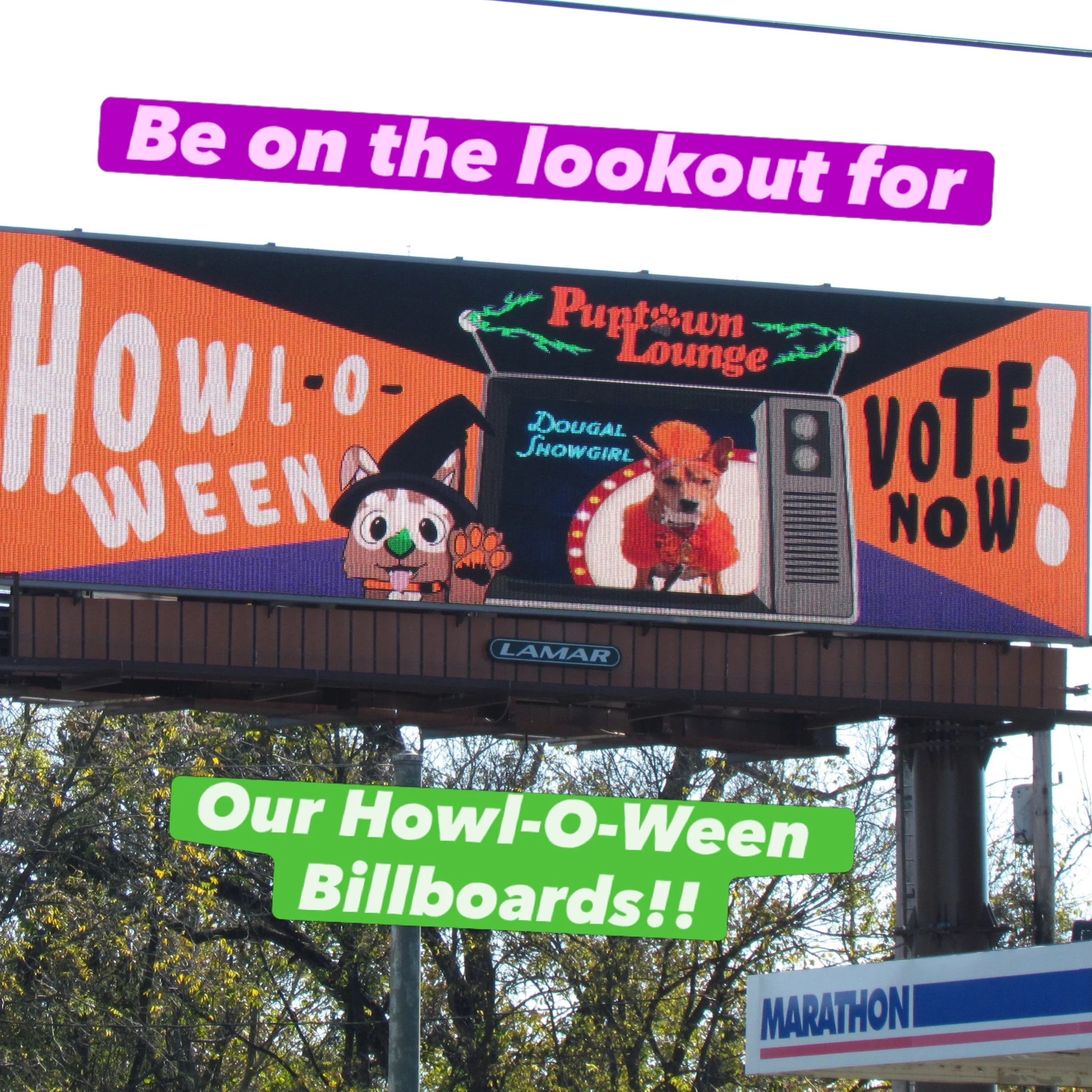 🚨🐾 YOUR DOG COULD BE ON A BILLBOARD IN COLUMBUS! 🎃📸

Our 12th Annual Puptown Lounge Howl-O-Ween Costume Contest contestants are taking over DIGITAL BILLBOARDS around Columbus! 🤩🧡

Every time our billboard appears, a DIFFERENT contestant gets th