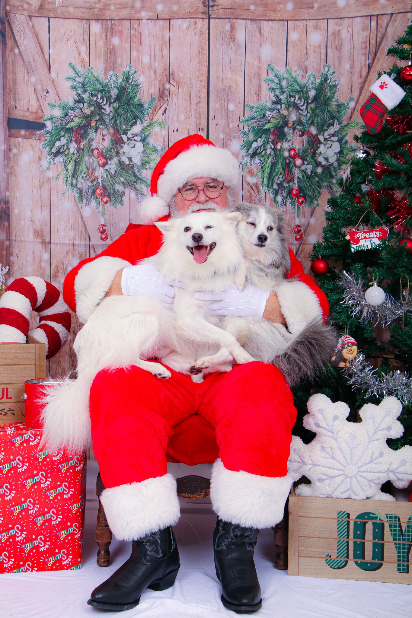 Luca and Marley and Santa 2024