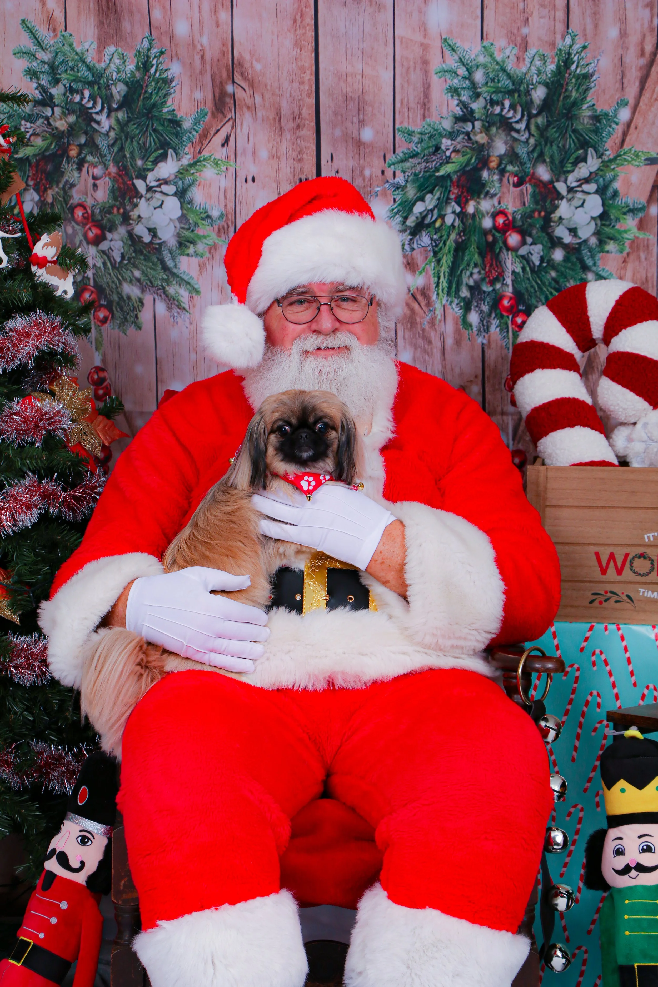 Gracie and Santa 2024