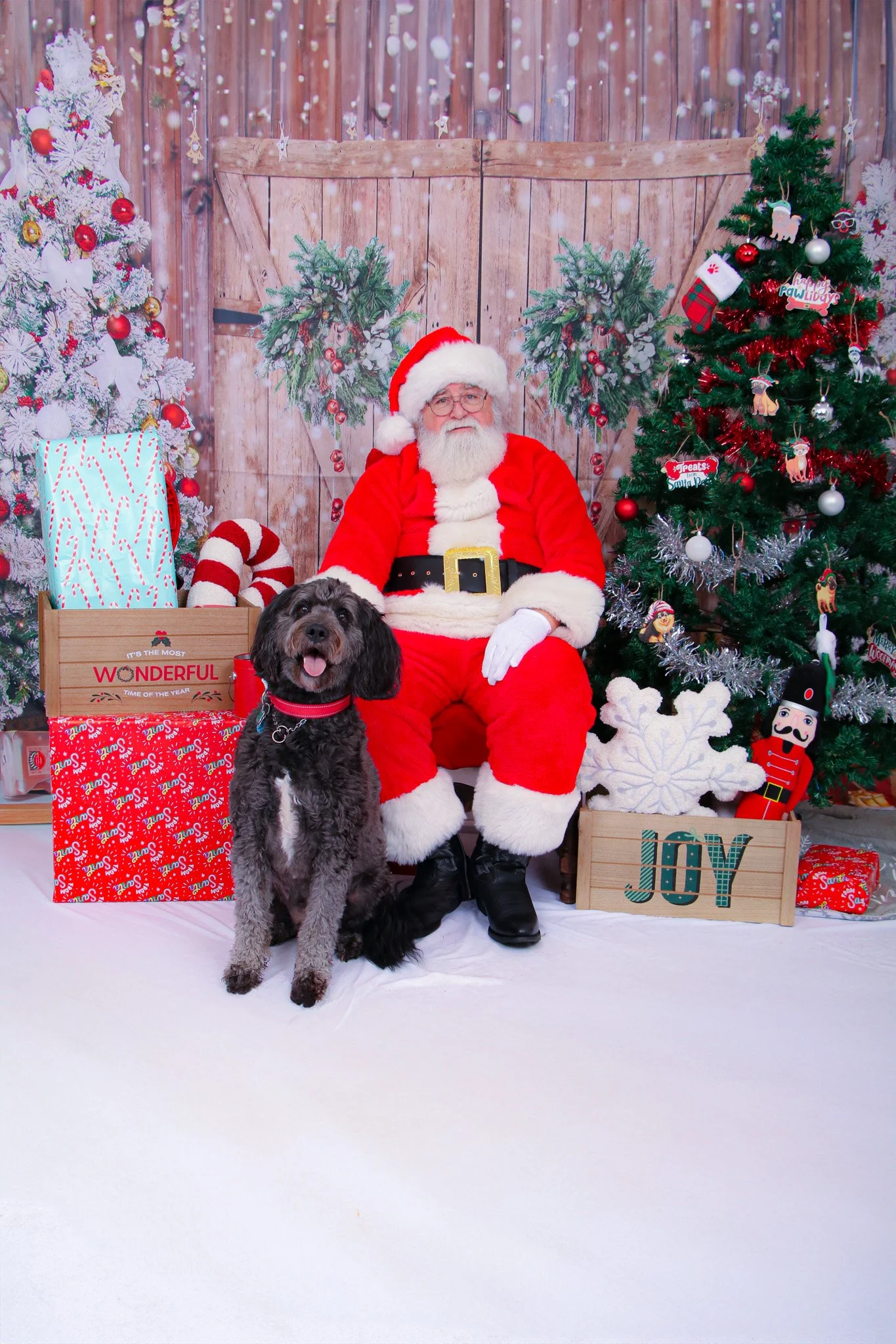 Charlie and Santa 2024