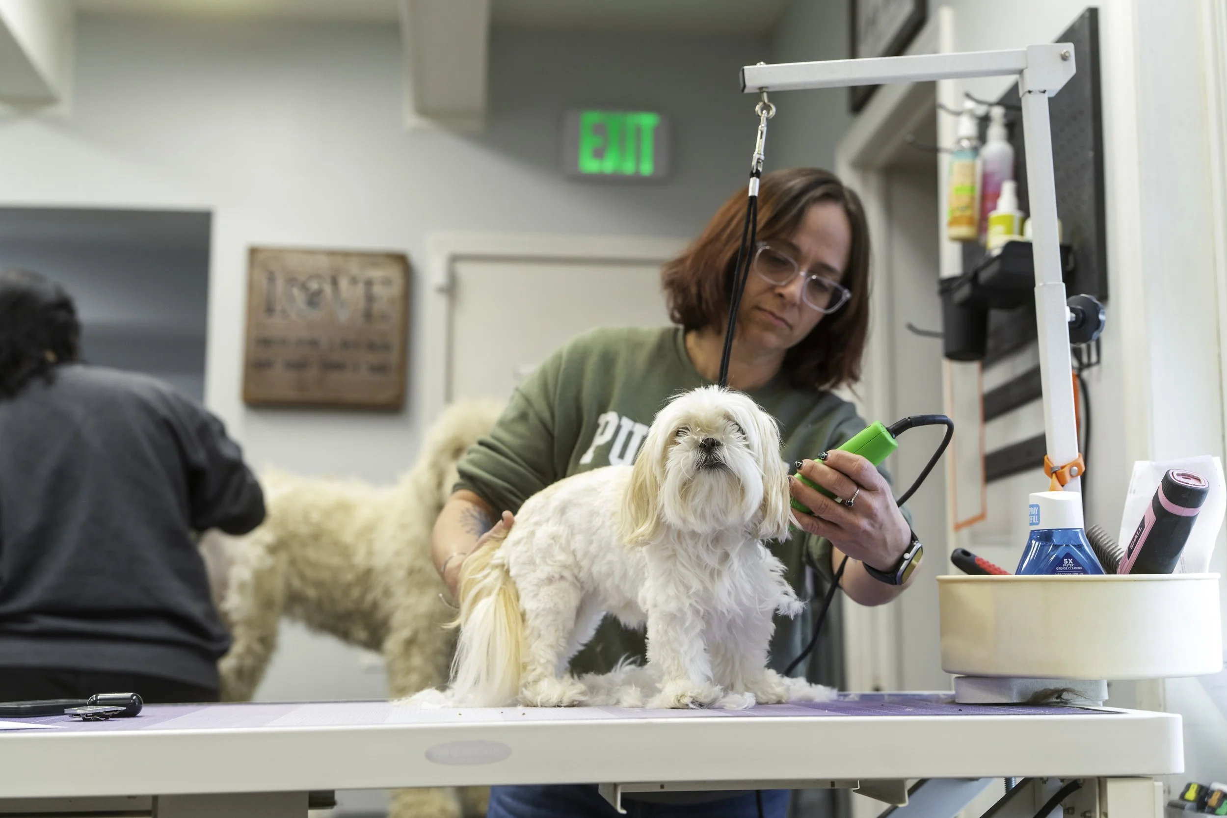 Puptown groomer trimming a small white dog