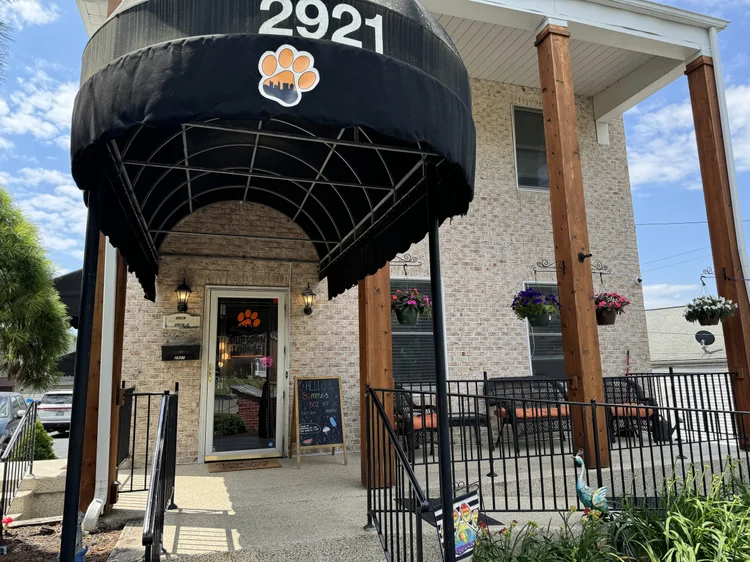 Puptown Lounge Grooming House in Upper Arlington