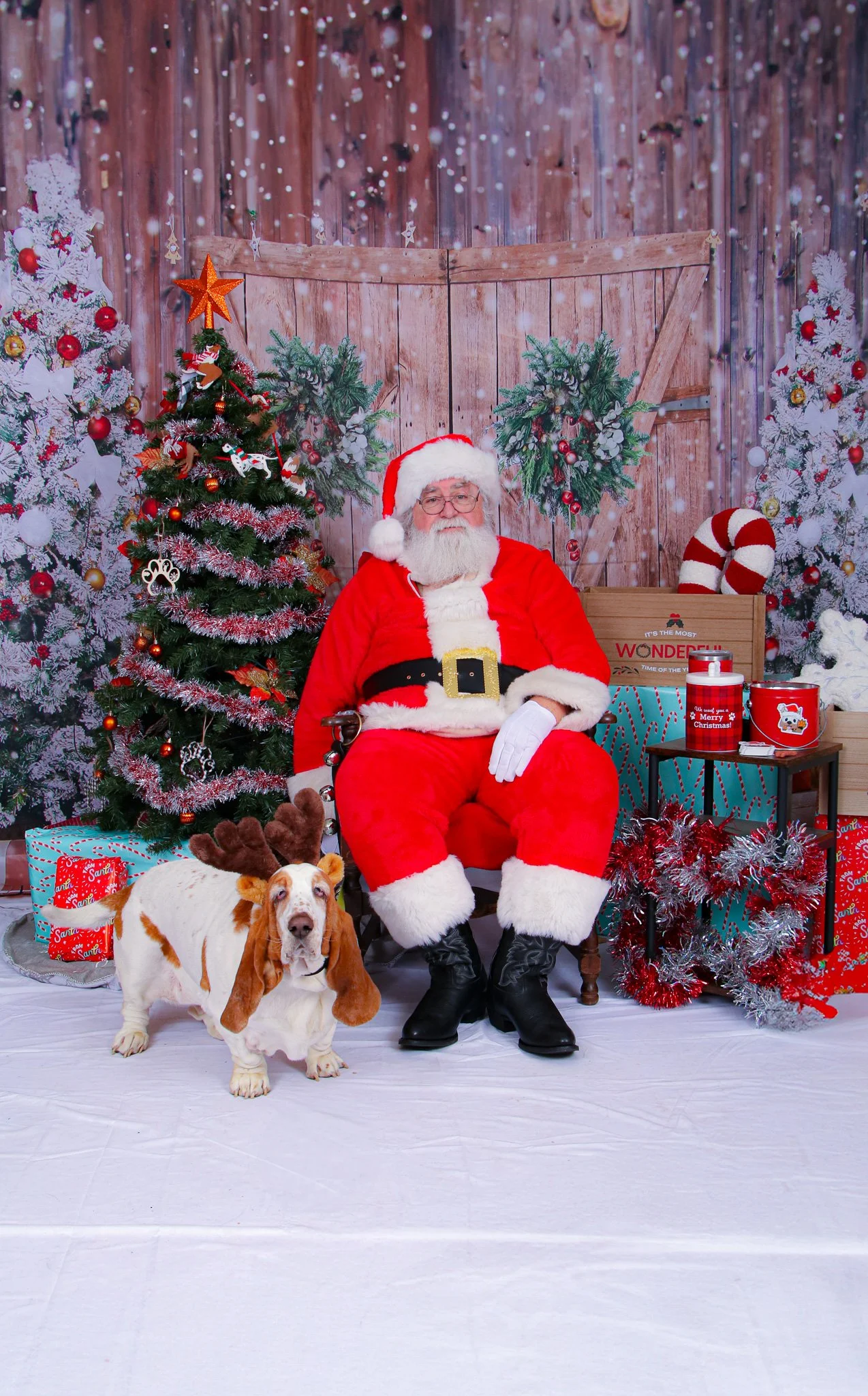 Biscuit and Santa 2024