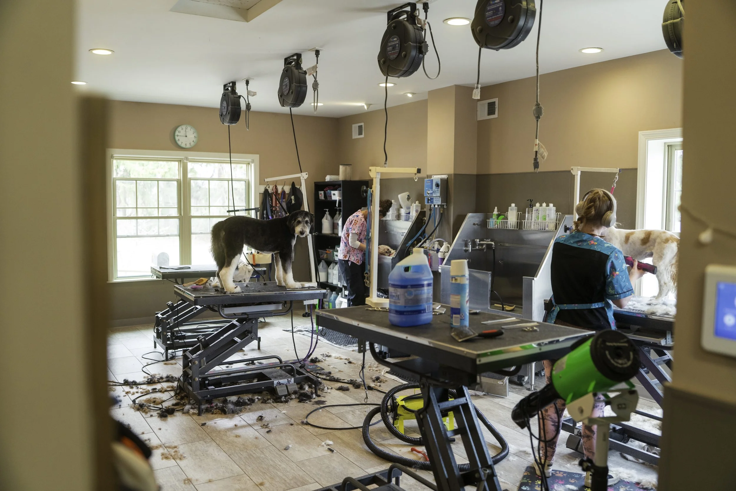 Puptown Lounge grooming salon
