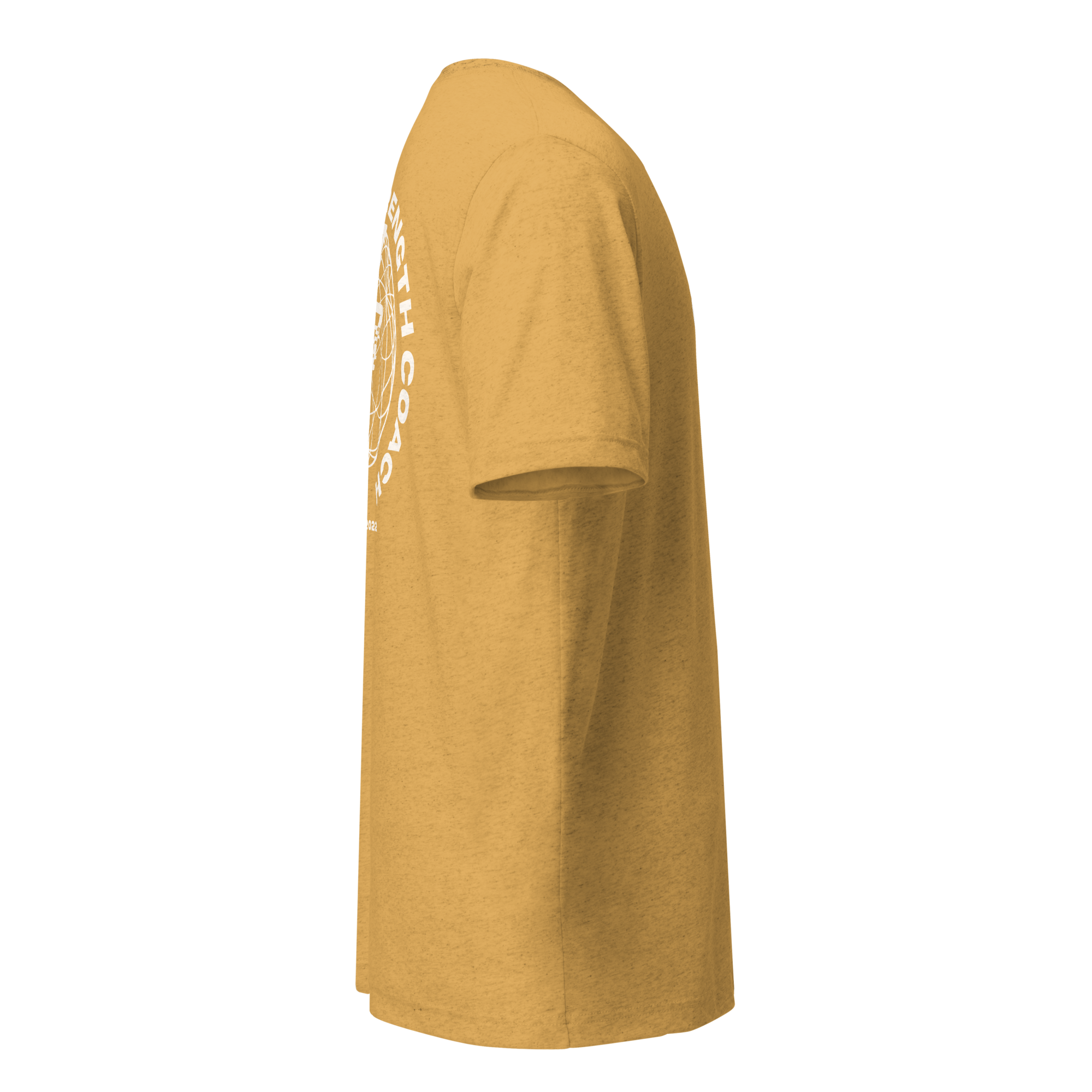 unisex-tri-blend-t-shirt-mustard-triblend-right-6892d98542f39.png