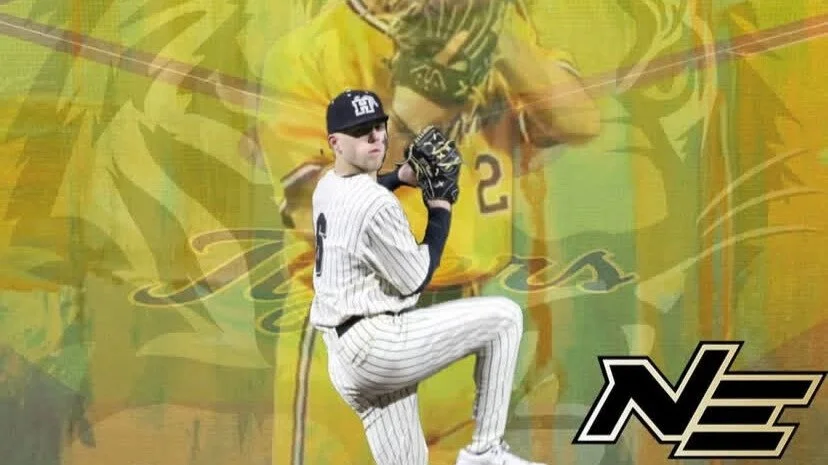Baseball player in white pinstripe uniform and cap pitching, with a yellow and green sports-themed background and "NE" logo in the corner.