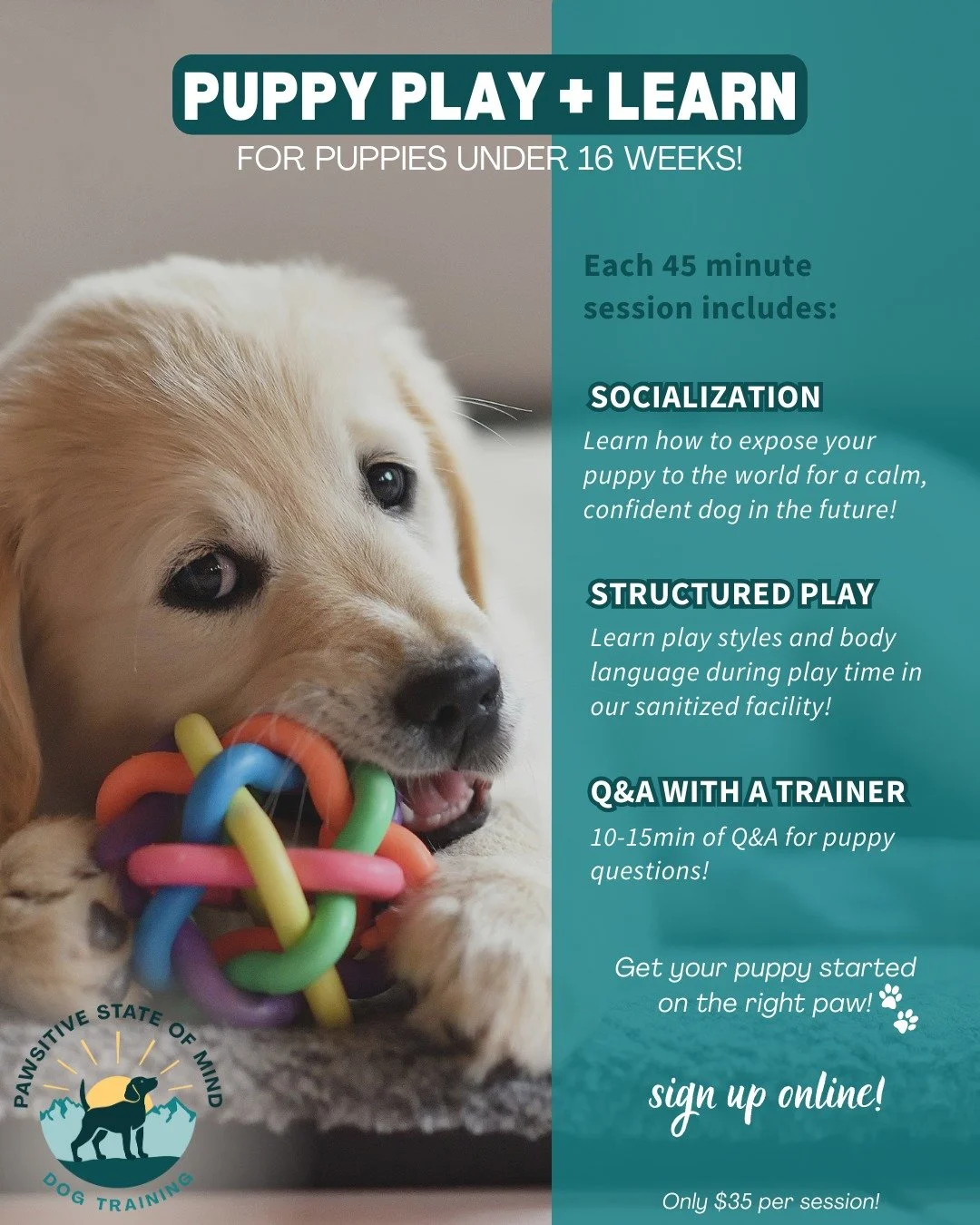 New Puppy Tips: Essential Hacks for Happy, Healthy Pets