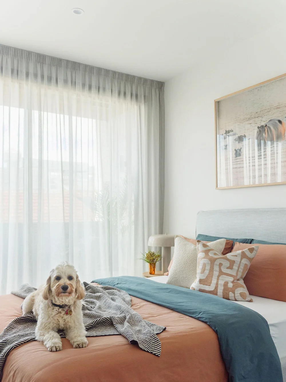 Marcia Hong Interior Design