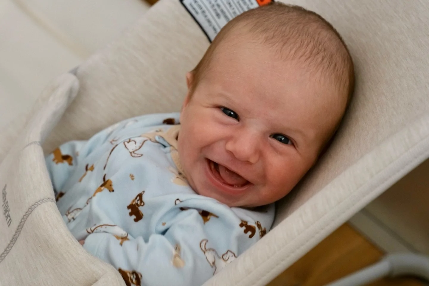 ⭐️🎁🎄12 DAYS OF BABIES!!!🎄🎁⭐️ 

Happy &amp; sleepy &mdash; Beau is ready for the holidays 🥹🎄⭐️