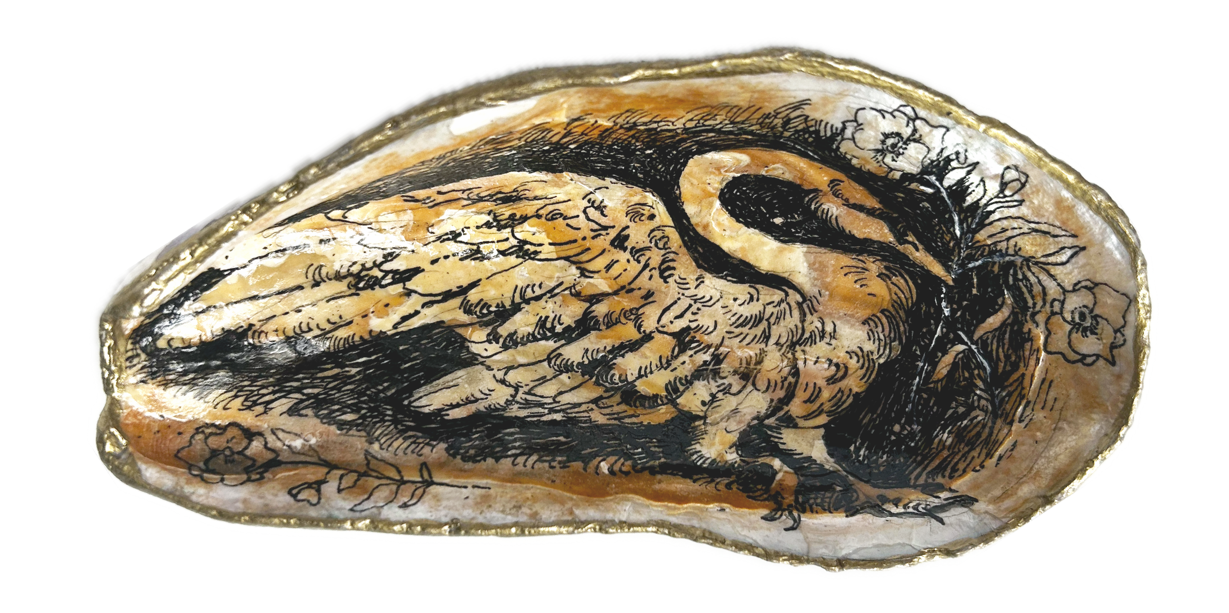 Swanshell.png